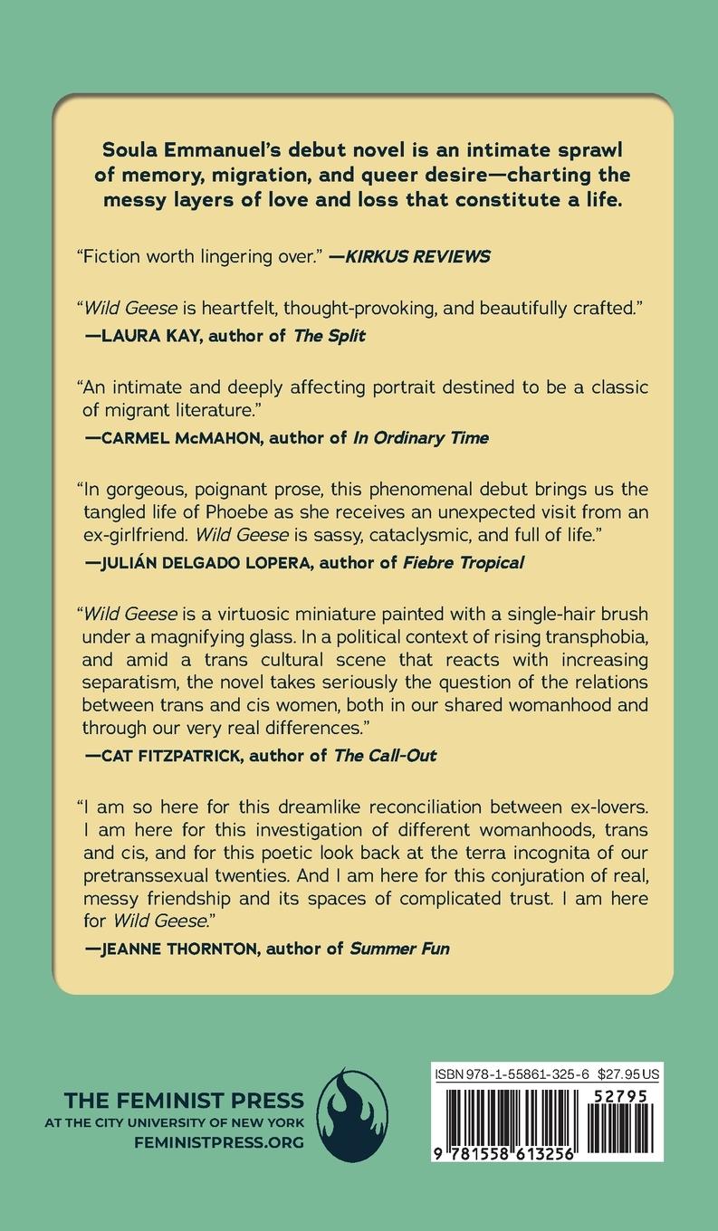 Rückseitencover Wild Geese