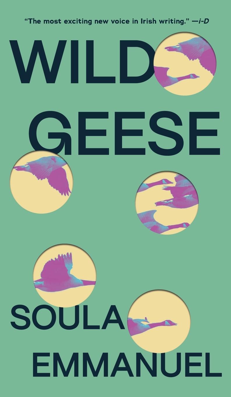 Vorderes Coverbild Wild Geese