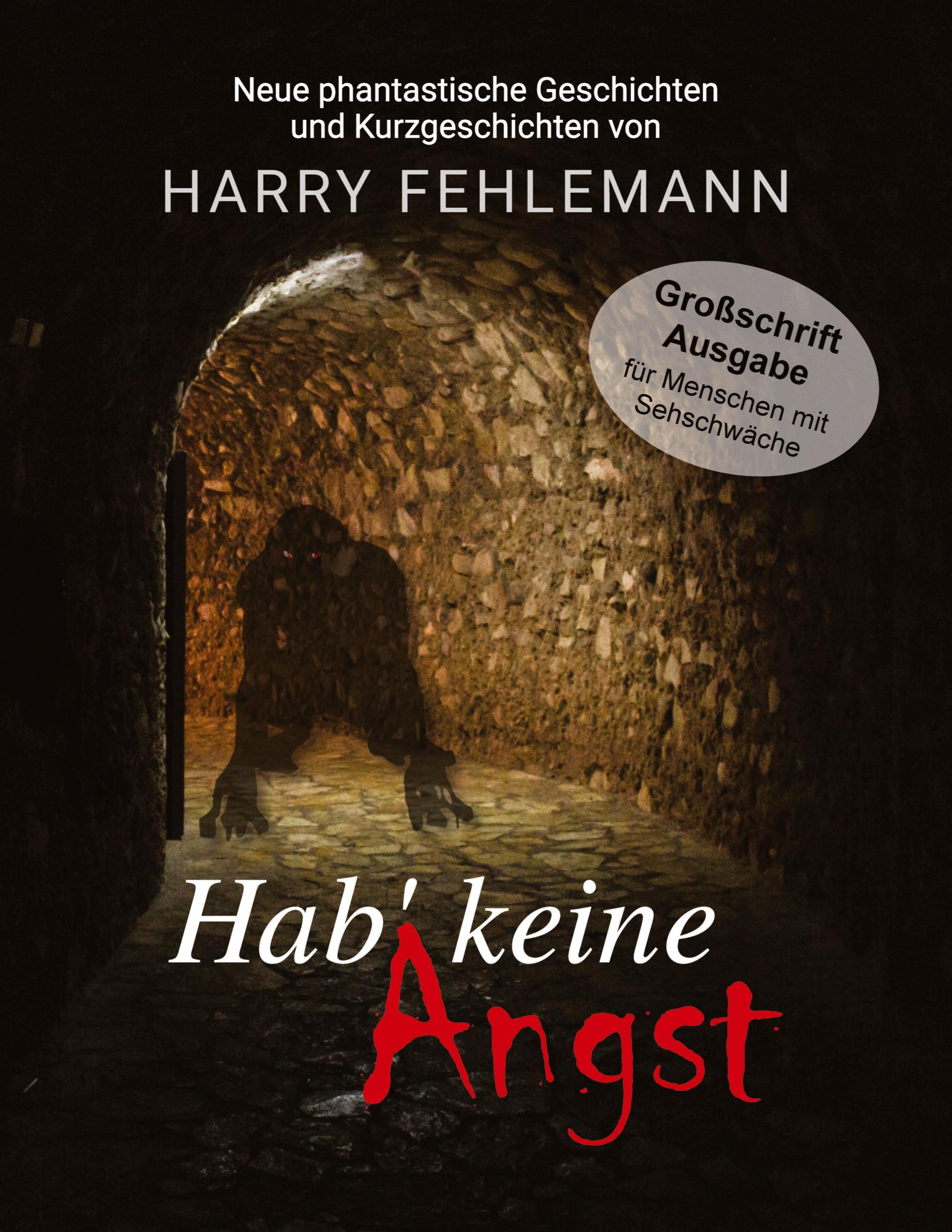 Vorderes Coverbild Hab' keine Angst