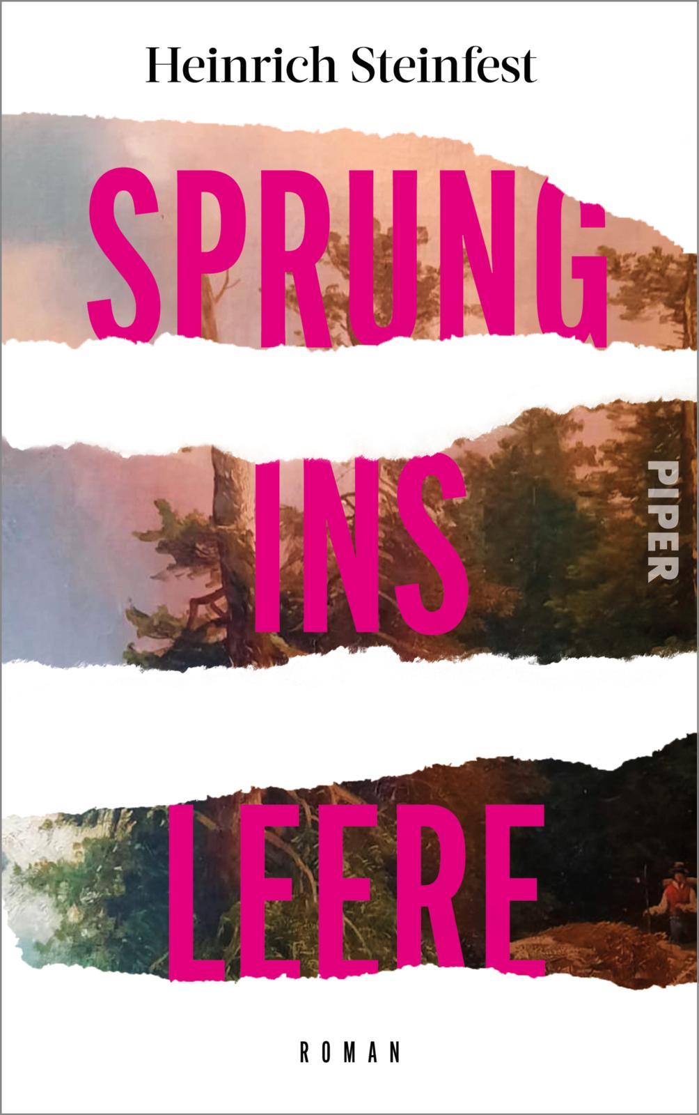 Vorderes Coverbild Sprung ins Leere