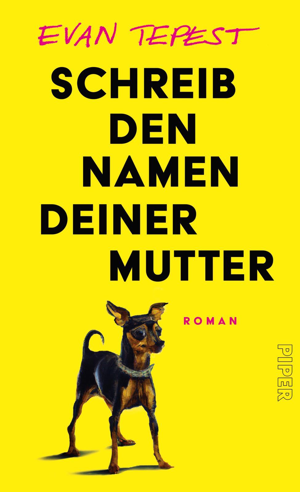 Vorderes Coverbild Schreib den Namen deiner Mutter