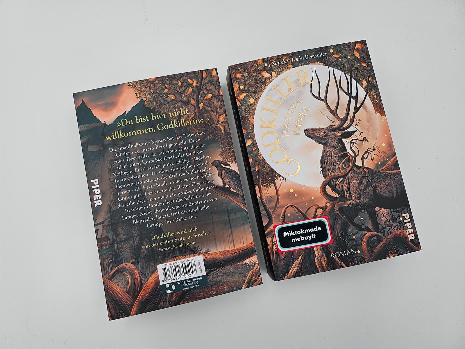 Beispielinhalt (Bild) Godkiller