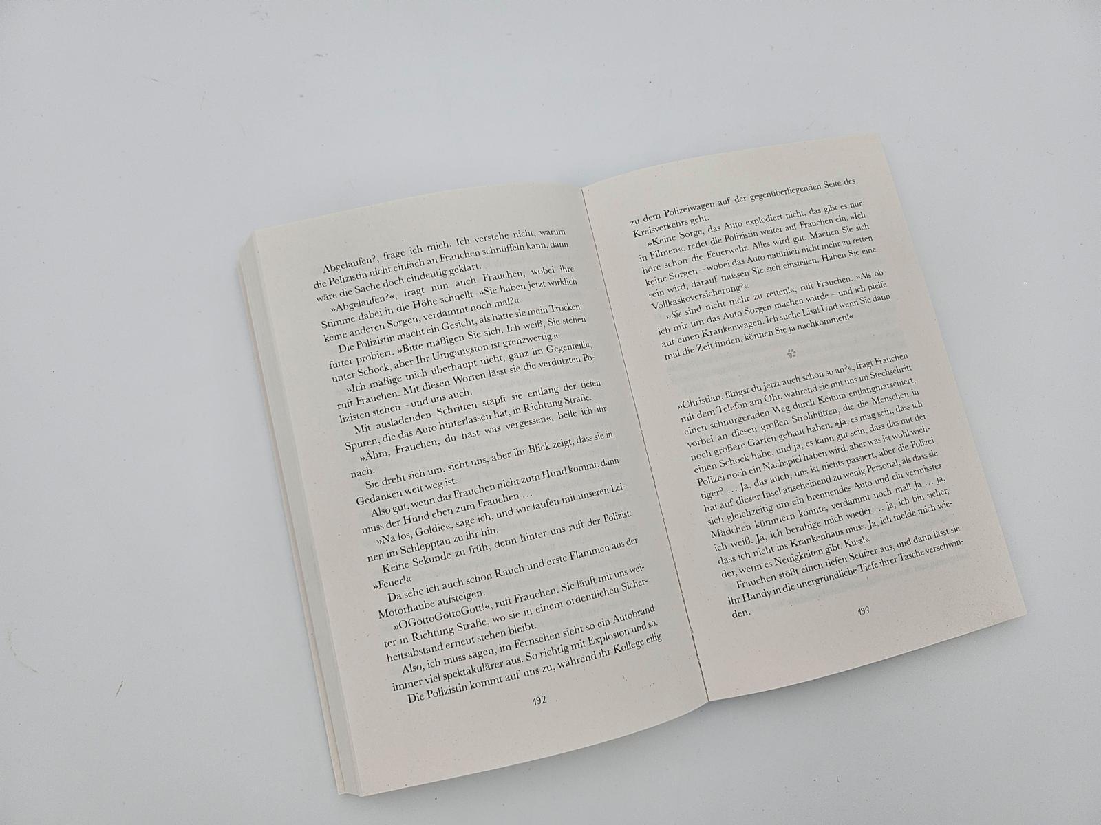 Beispielinhalt (Bild) Pfotenglück - Dackel Max auf Spurensuche