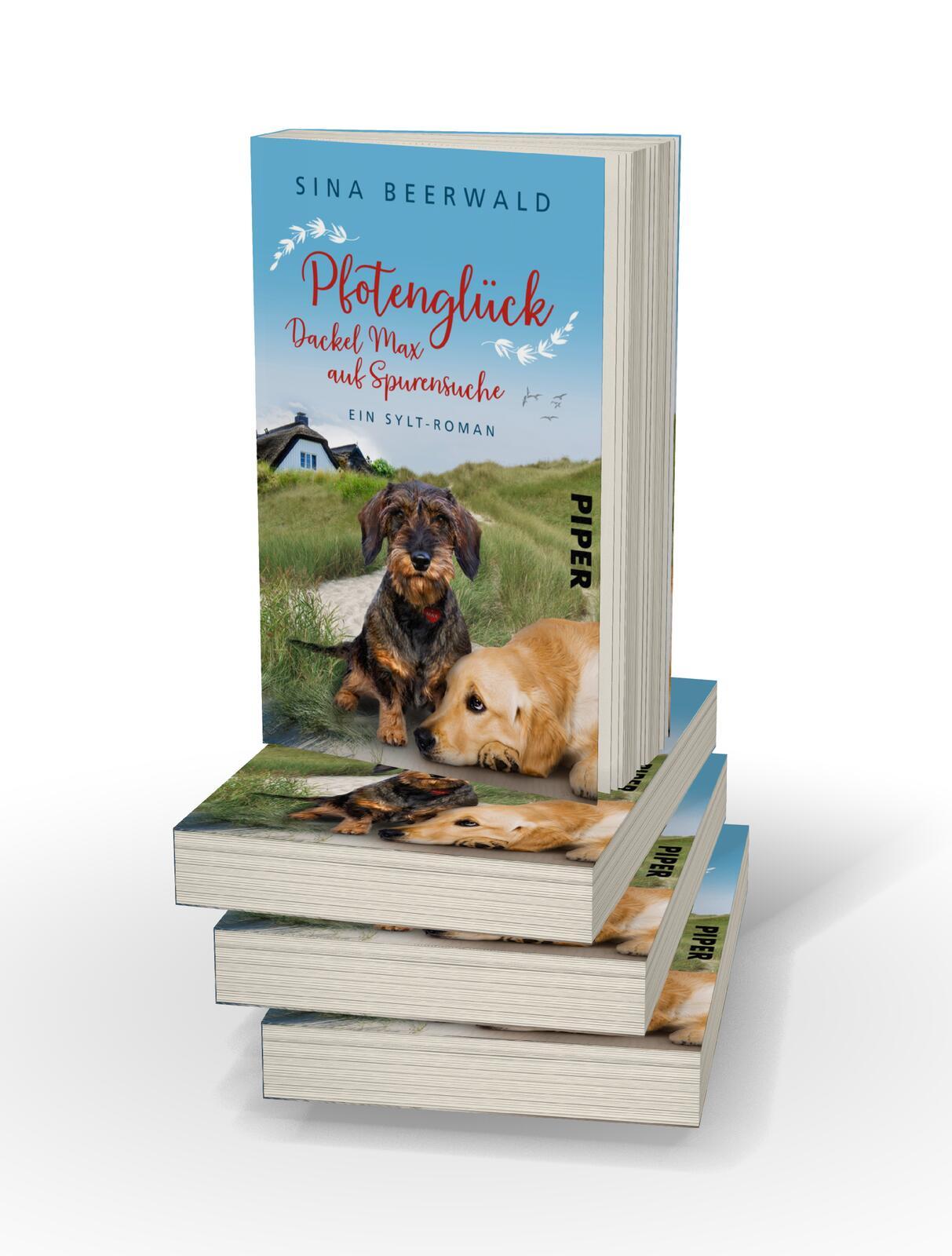 Beispielinhalt (Bild) Pfotenglück - Dackel Max auf Spurensuche