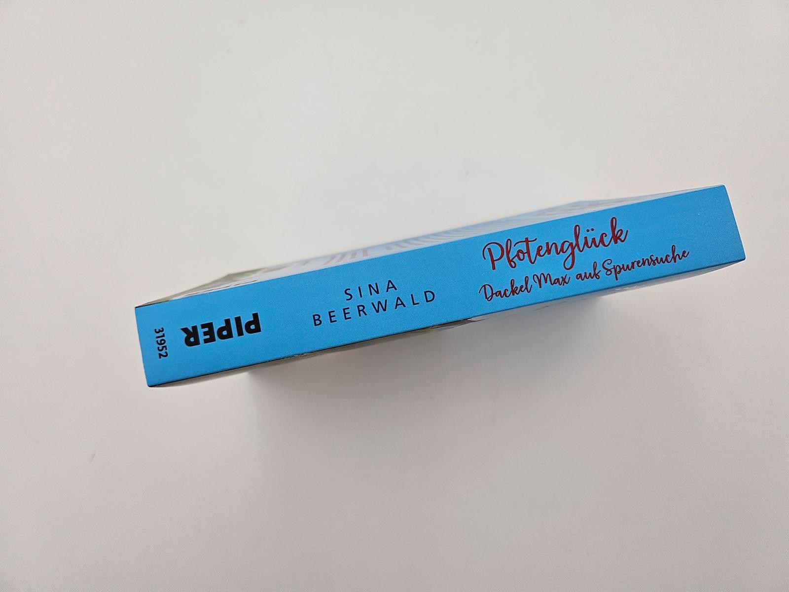 Beispielinhalt (Bild) Pfotenglück - Dackel Max auf Spurensuche