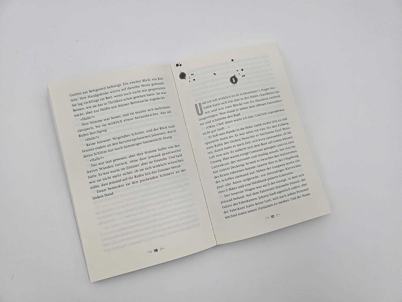 Beispielinhalt (Bild) Mord am Spieß