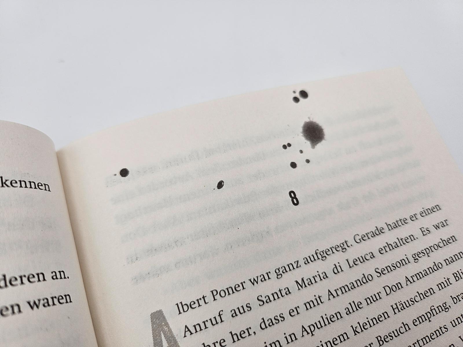 Beispielinhalt (Bild) Mord am Spieß