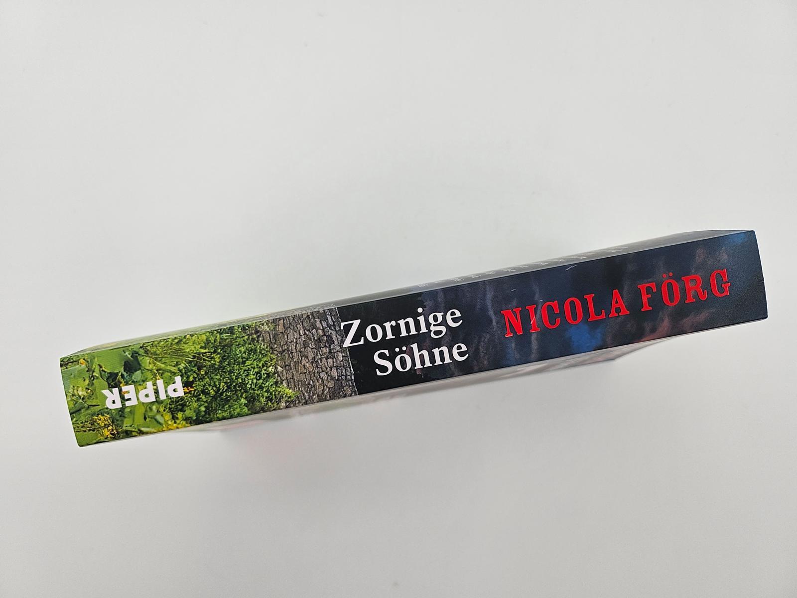 Beispielinhalt (Bild) Zornige Söhne