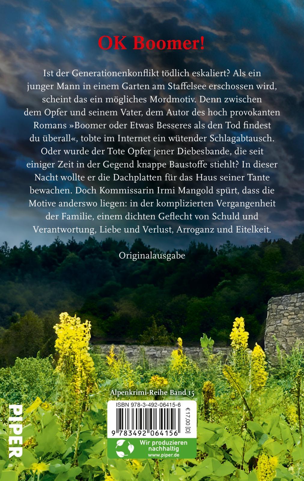 Rückseitencover Zornige Söhne
