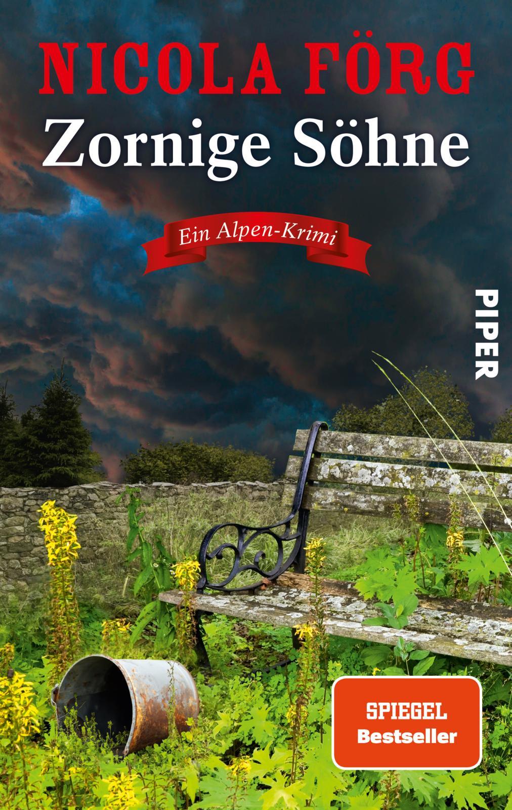 Vorderes Coverbild Zornige Söhne