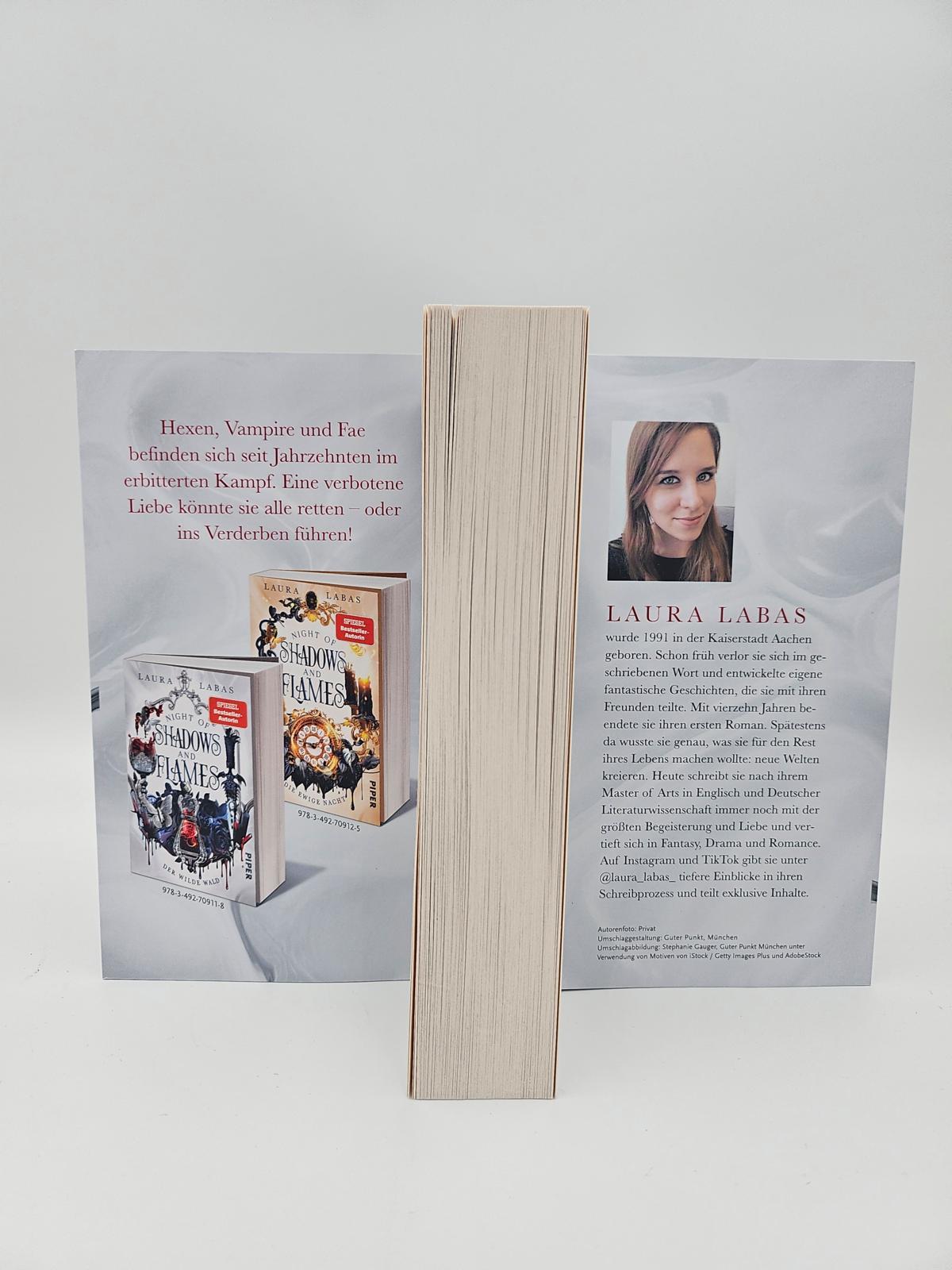 Beispielinhalt (Bild) Night of Shadows and Flames - Der Wilde Wald