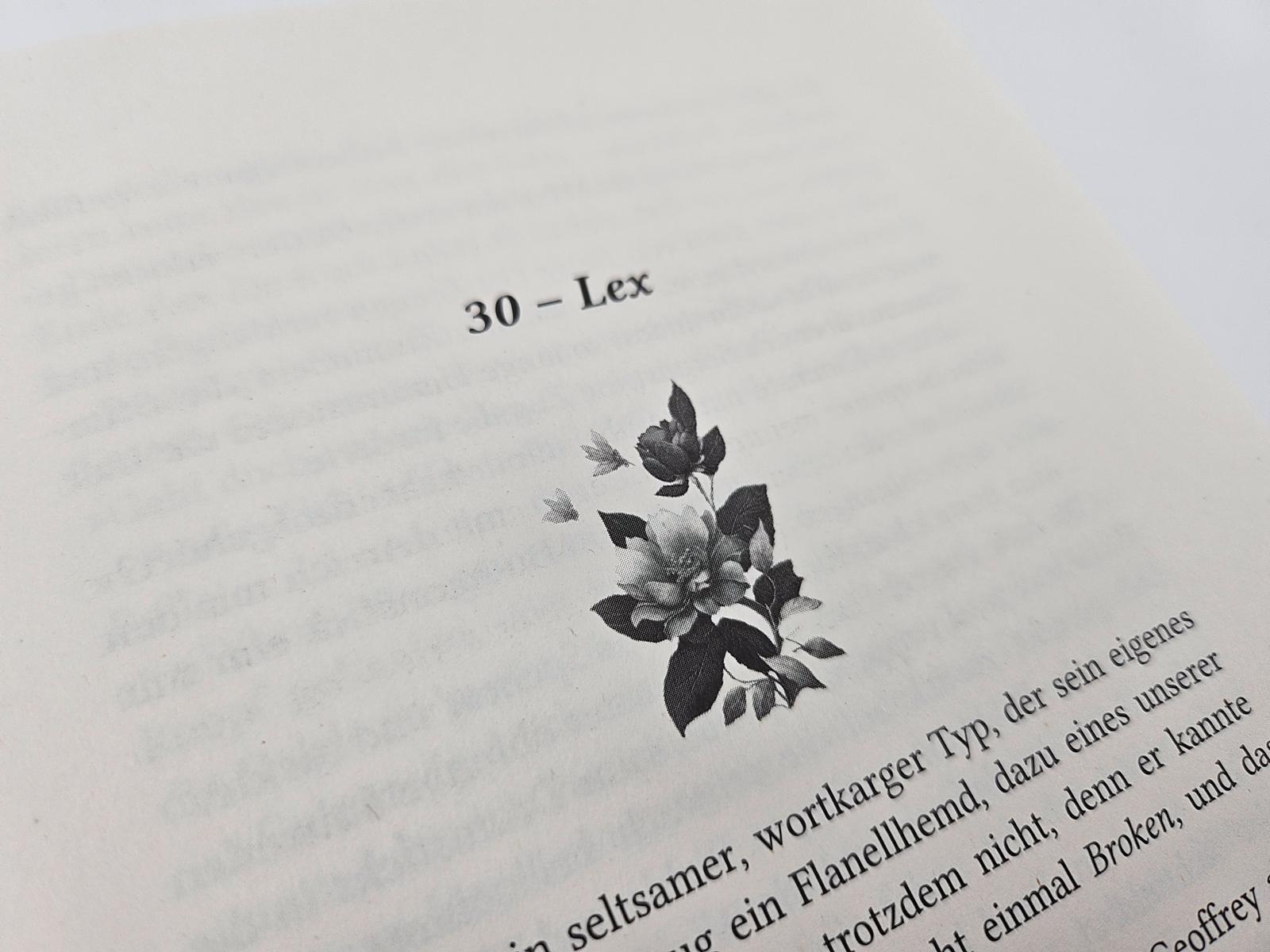 Beispielinhalt (Bild) Everything I Hate About You