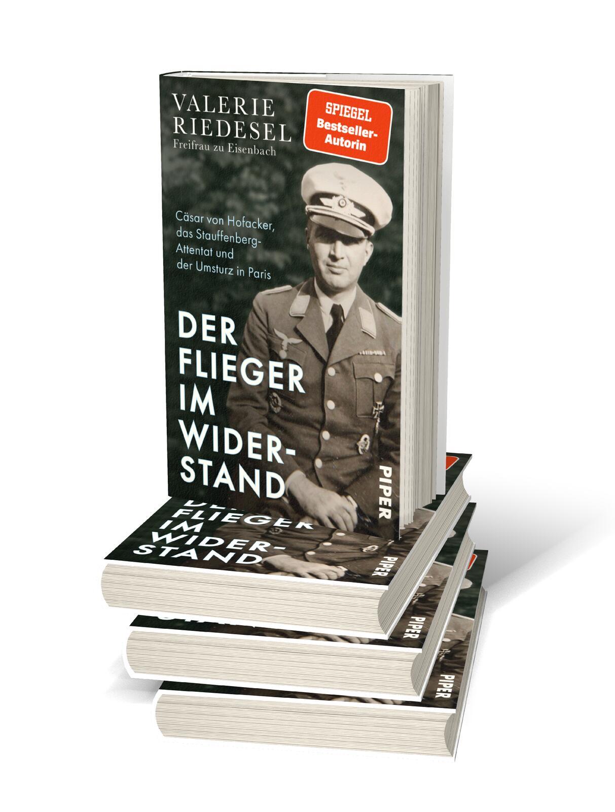 Beispielinhalt (Bild) Der Flieger im Widerstand