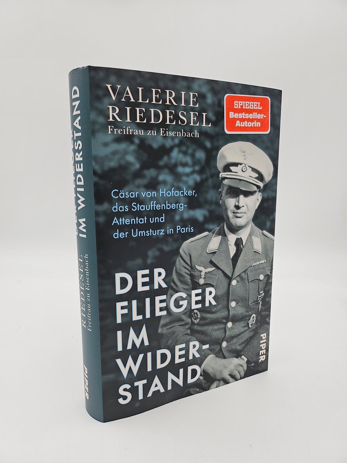 Beispielinhalt (Bild) Der Flieger im Widerstand