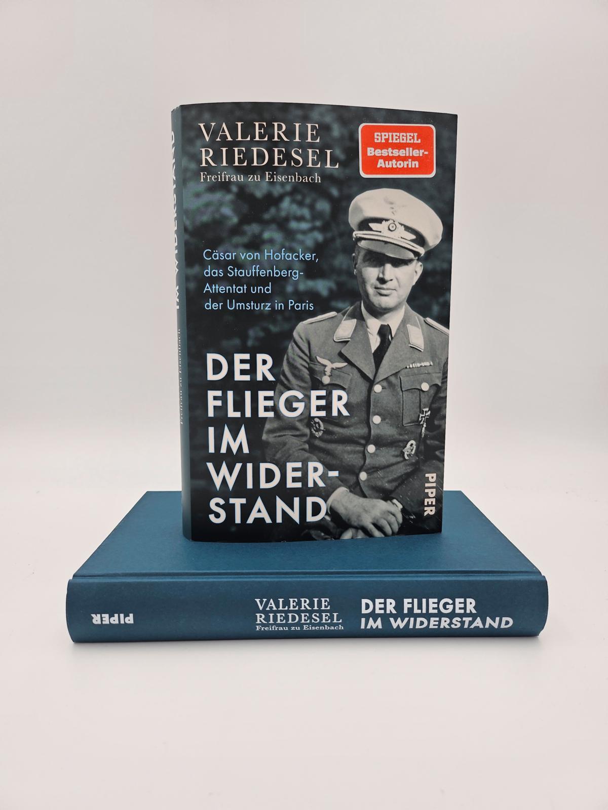 Beispielinhalt (Bild) Der Flieger im Widerstand