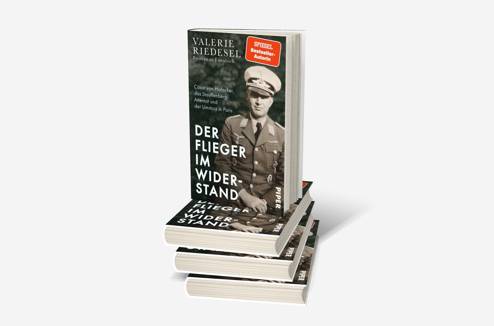 Beispielinhalt (Bild) Der Flieger im Widerstand