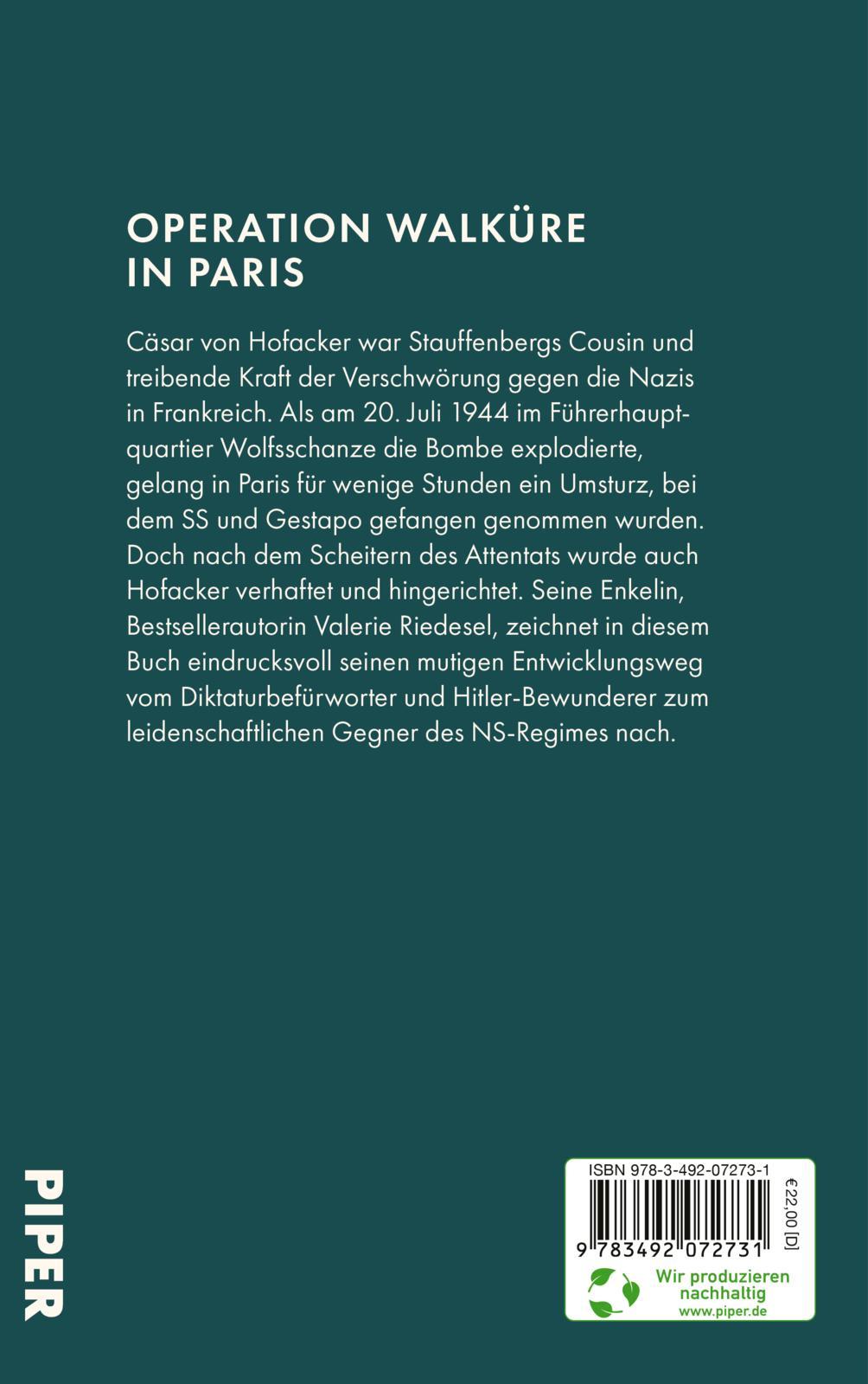 Rückseitencover Der Flieger im Widerstand
