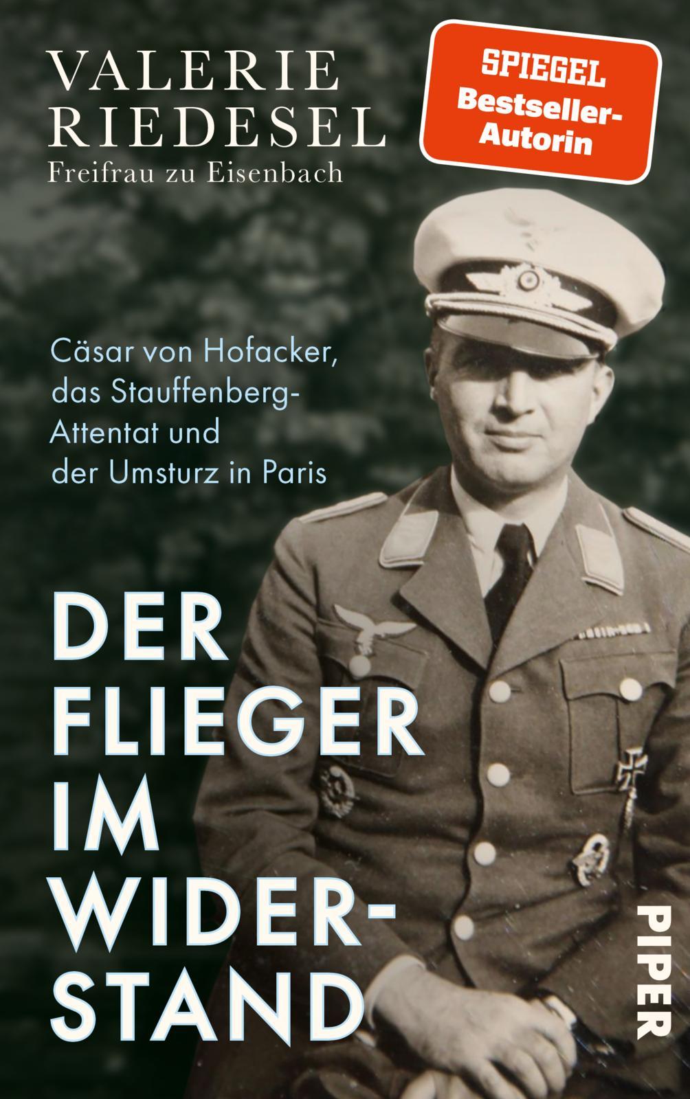 Vorderes Coverbild Der Flieger im Widerstand