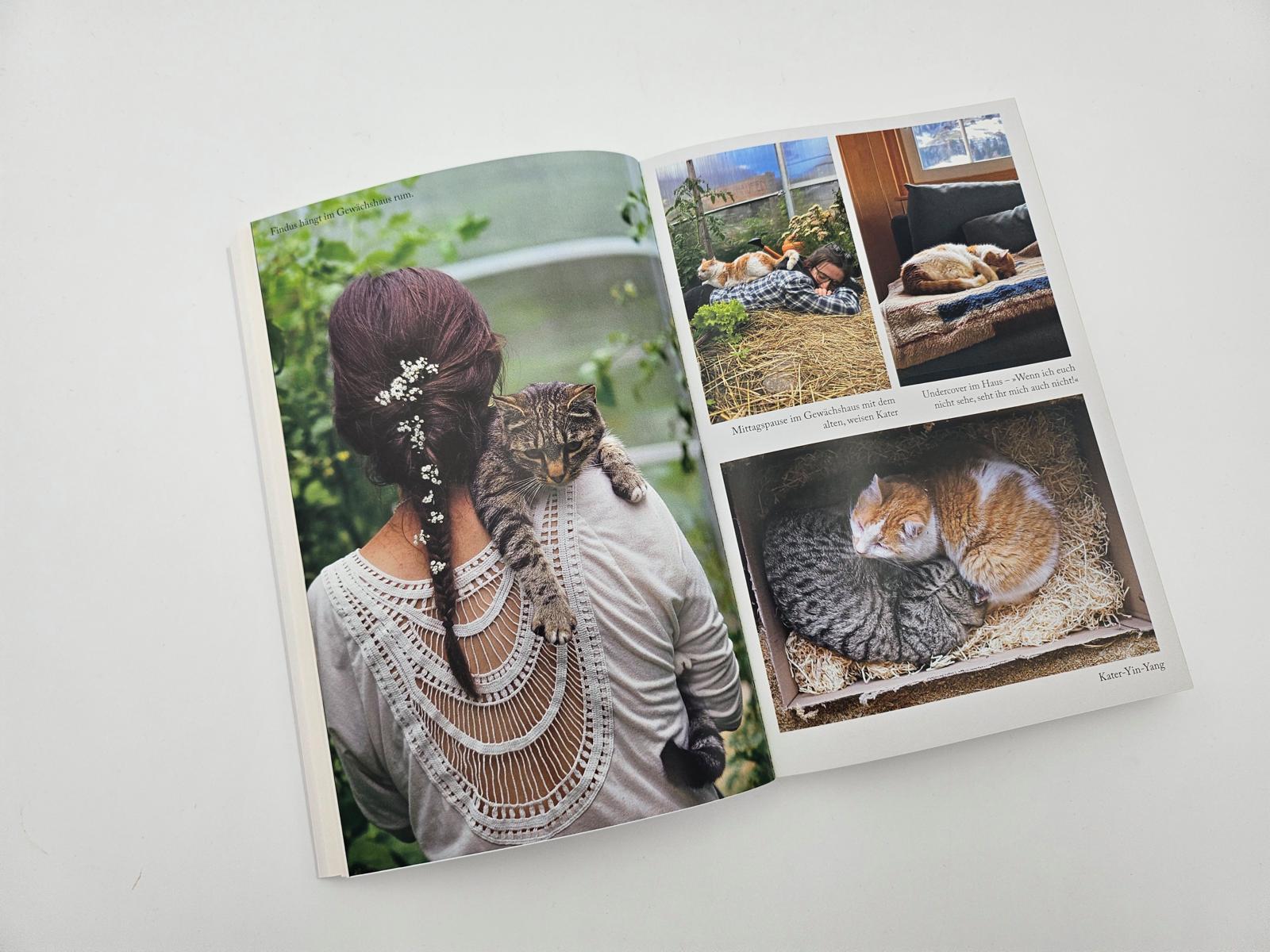 Beispielinhalt (Bild) Hin und weg