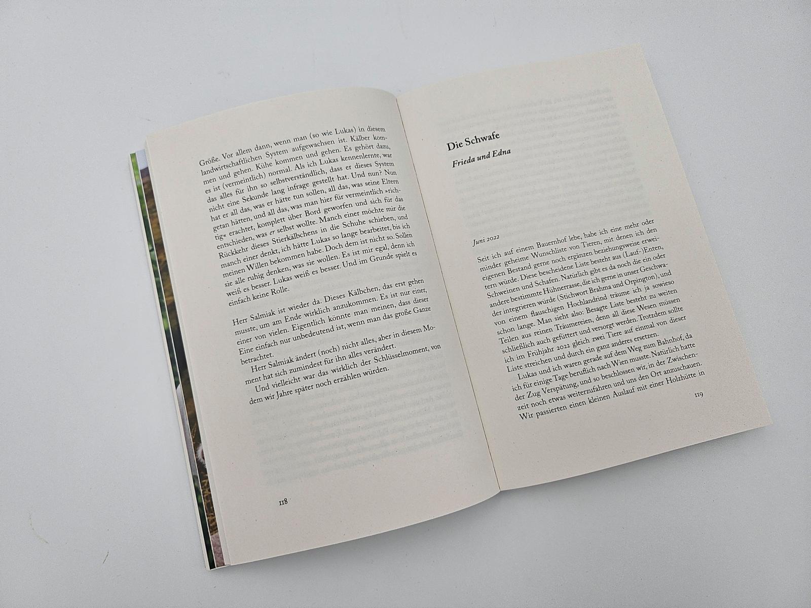 Beispielinhalt (Bild) Hin und weg