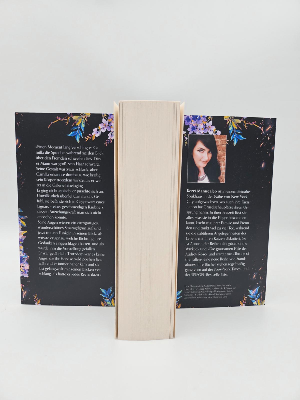 Beispielinhalt (Bild) Throne of the Fallen - Verführt