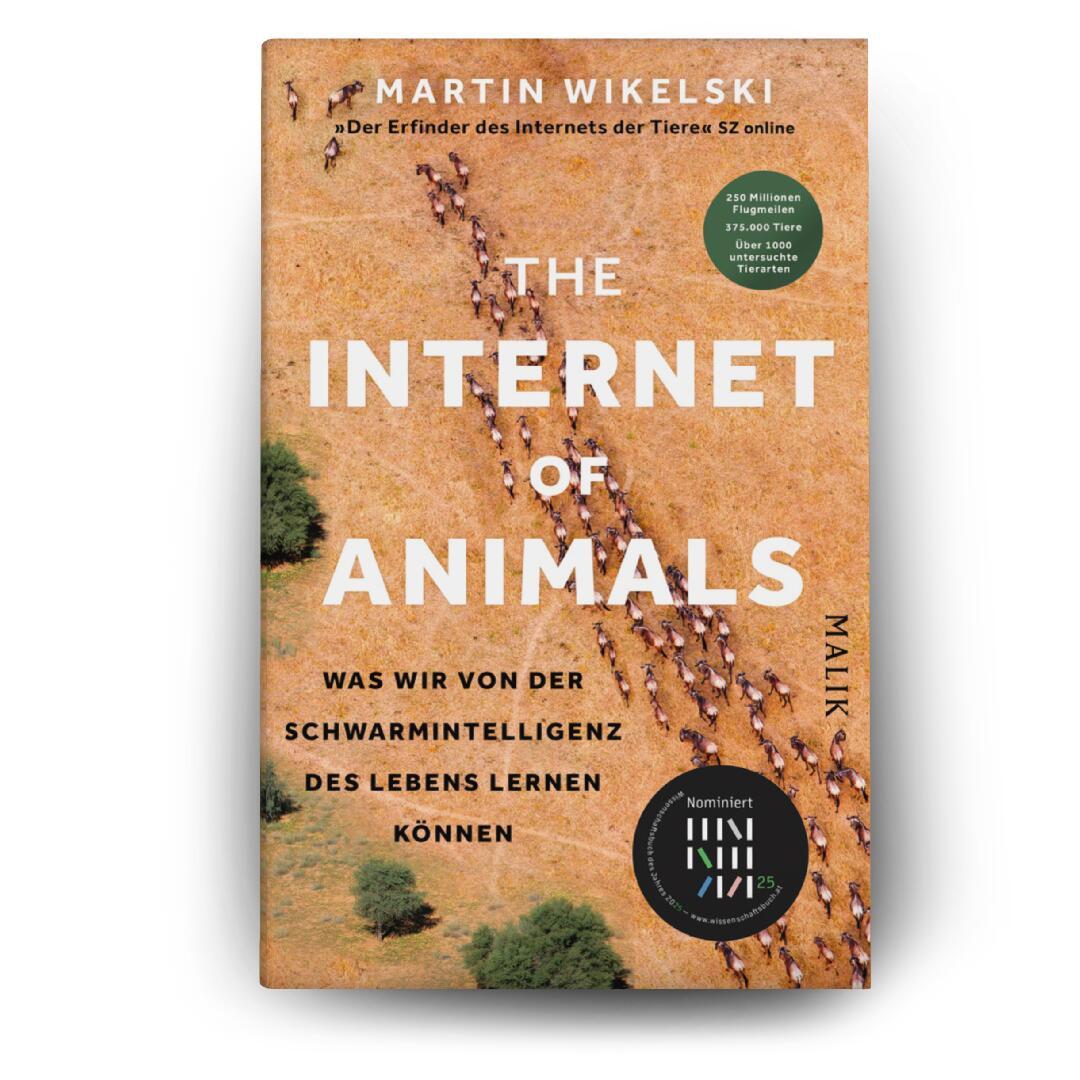 Beispielinhalt (Bild) The Internet of Animals: Was wir von der Schwarmintelligenz des Lebens lernen können