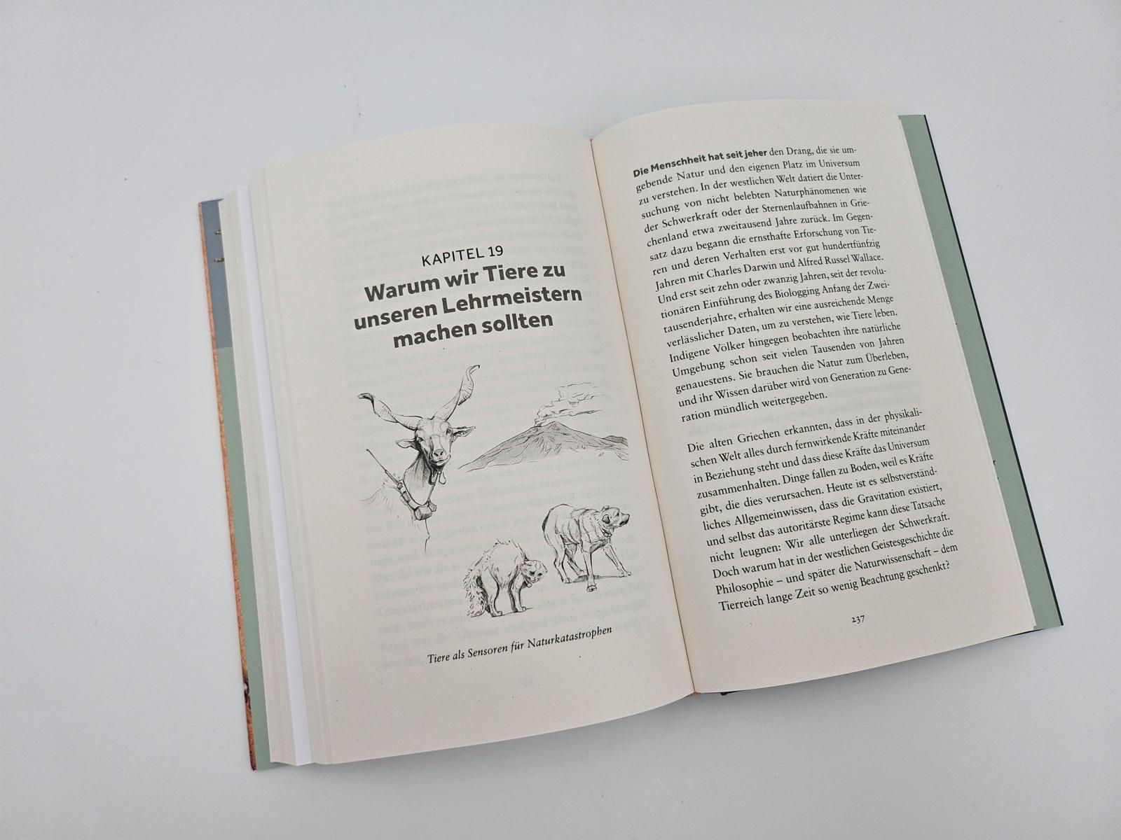 Beispielinhalt (Bild) The Internet of Animals: Was wir von der Schwarmintelligenz des Lebens lernen können