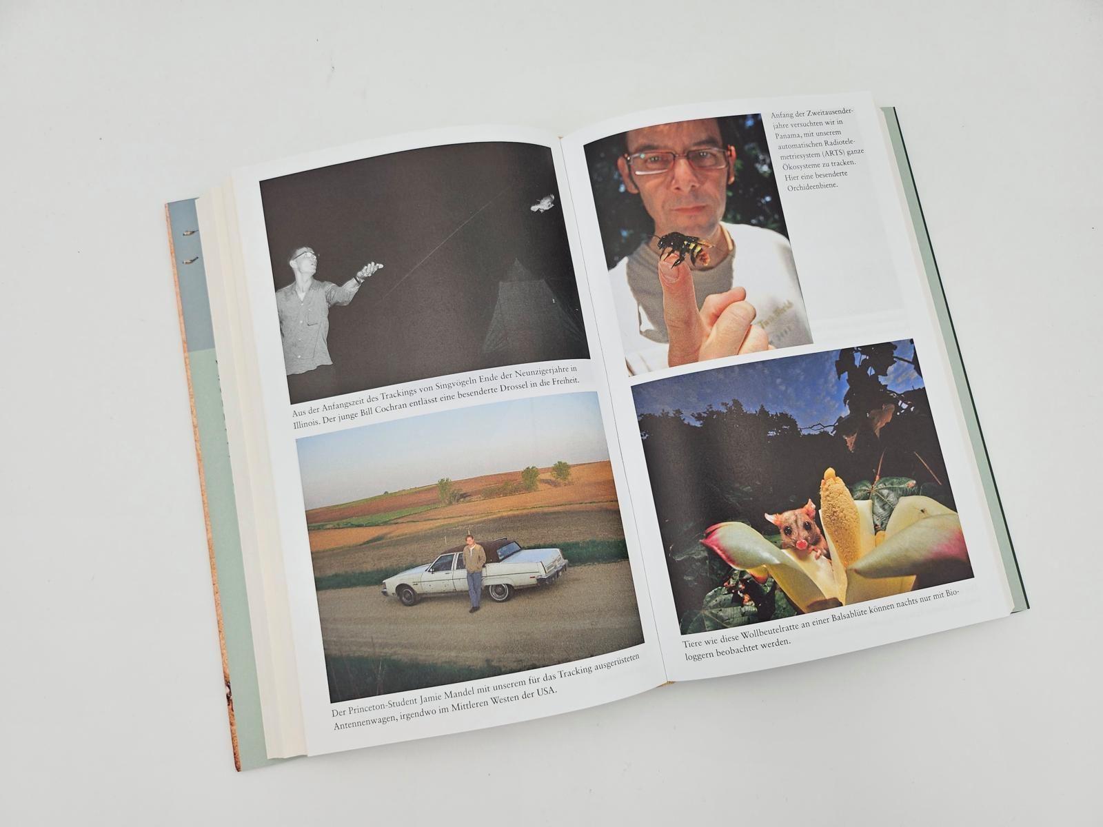 Beispielinhalt (Bild) The Internet of Animals: Was wir von der Schwarmintelligenz des Lebens lernen können