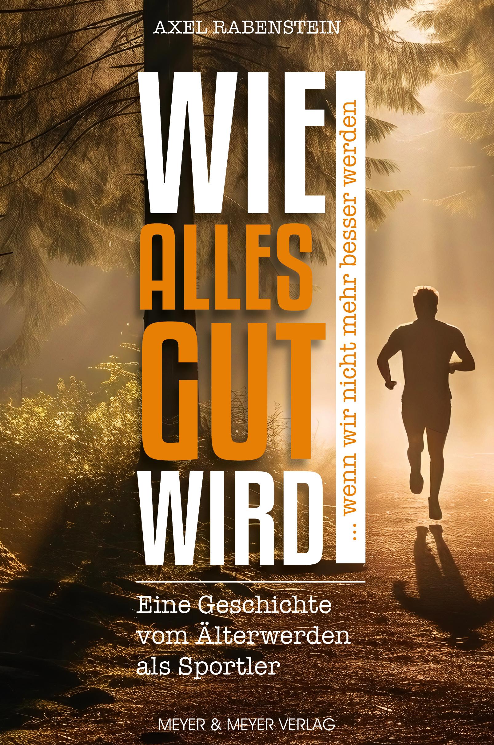 Vorderes Coverbild Wie alles gut wird ... wenn wir nicht mehr besser werden