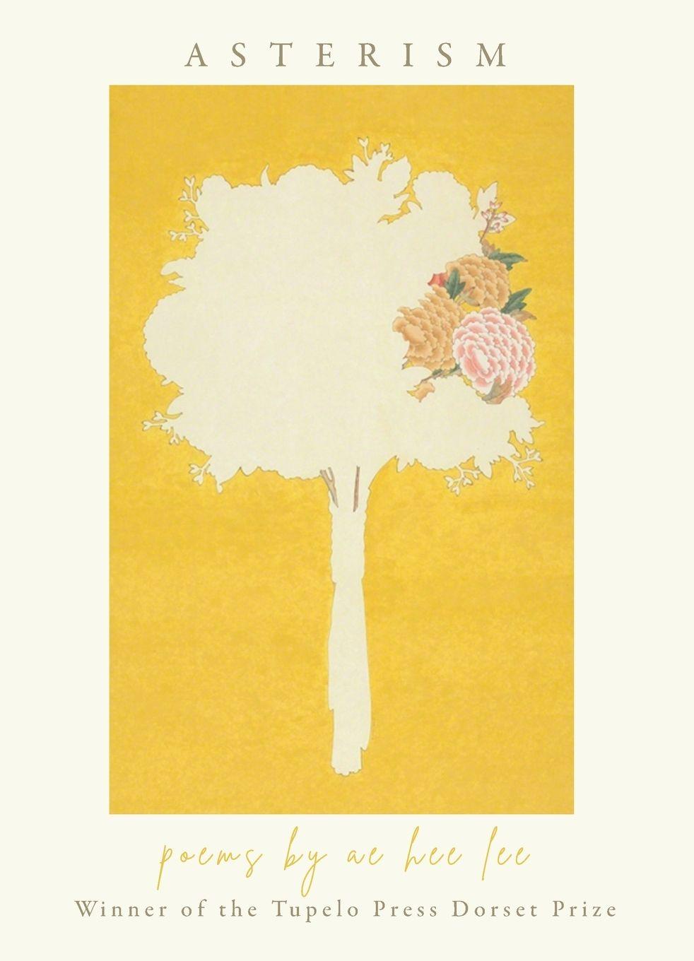 Vorderes Coverbild Asterism