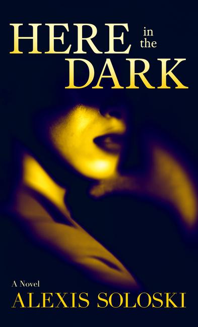 Vorderes Coverbild Here in the Dark