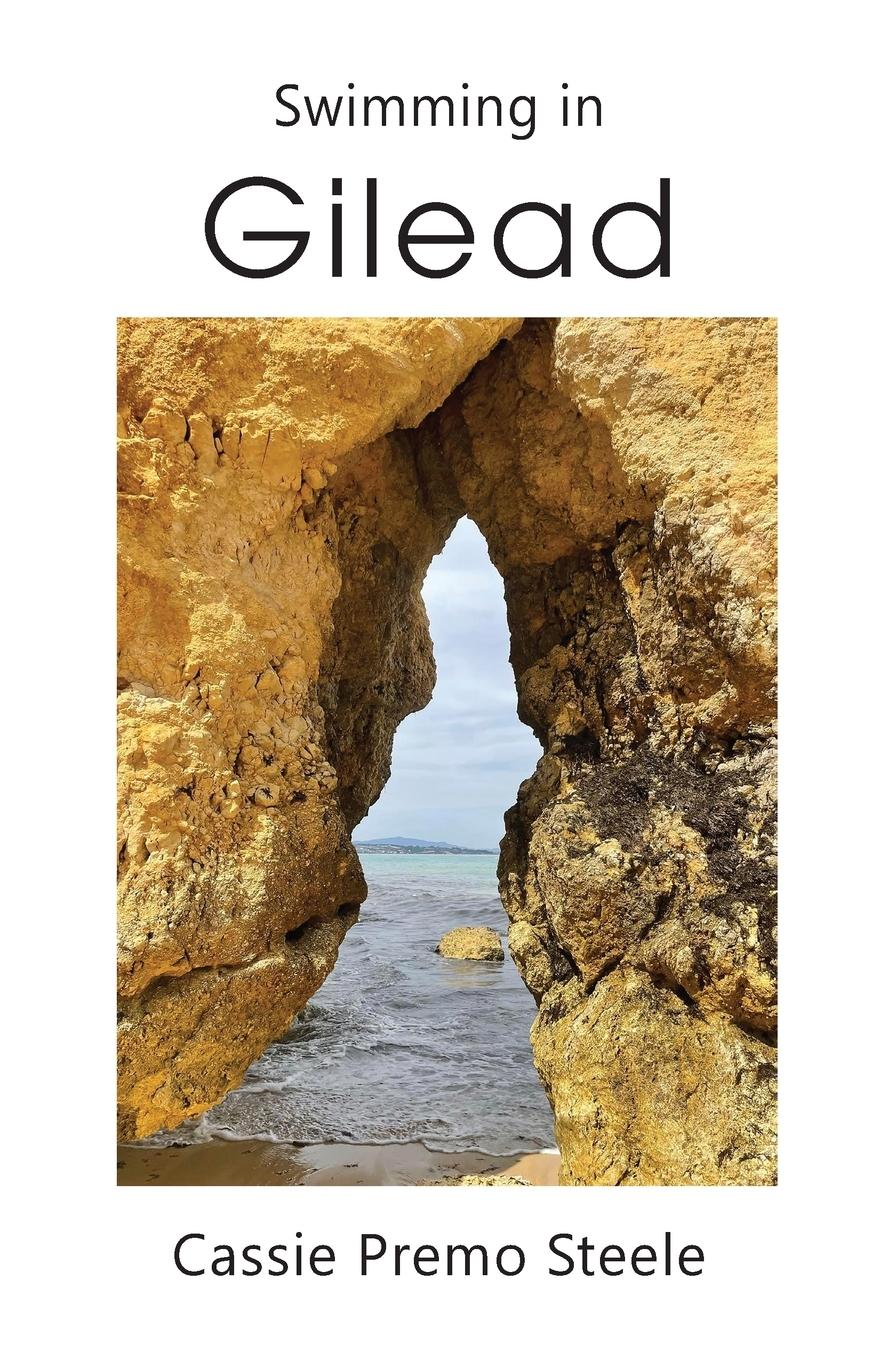 Vorderes Coverbild Swimming in Gilead