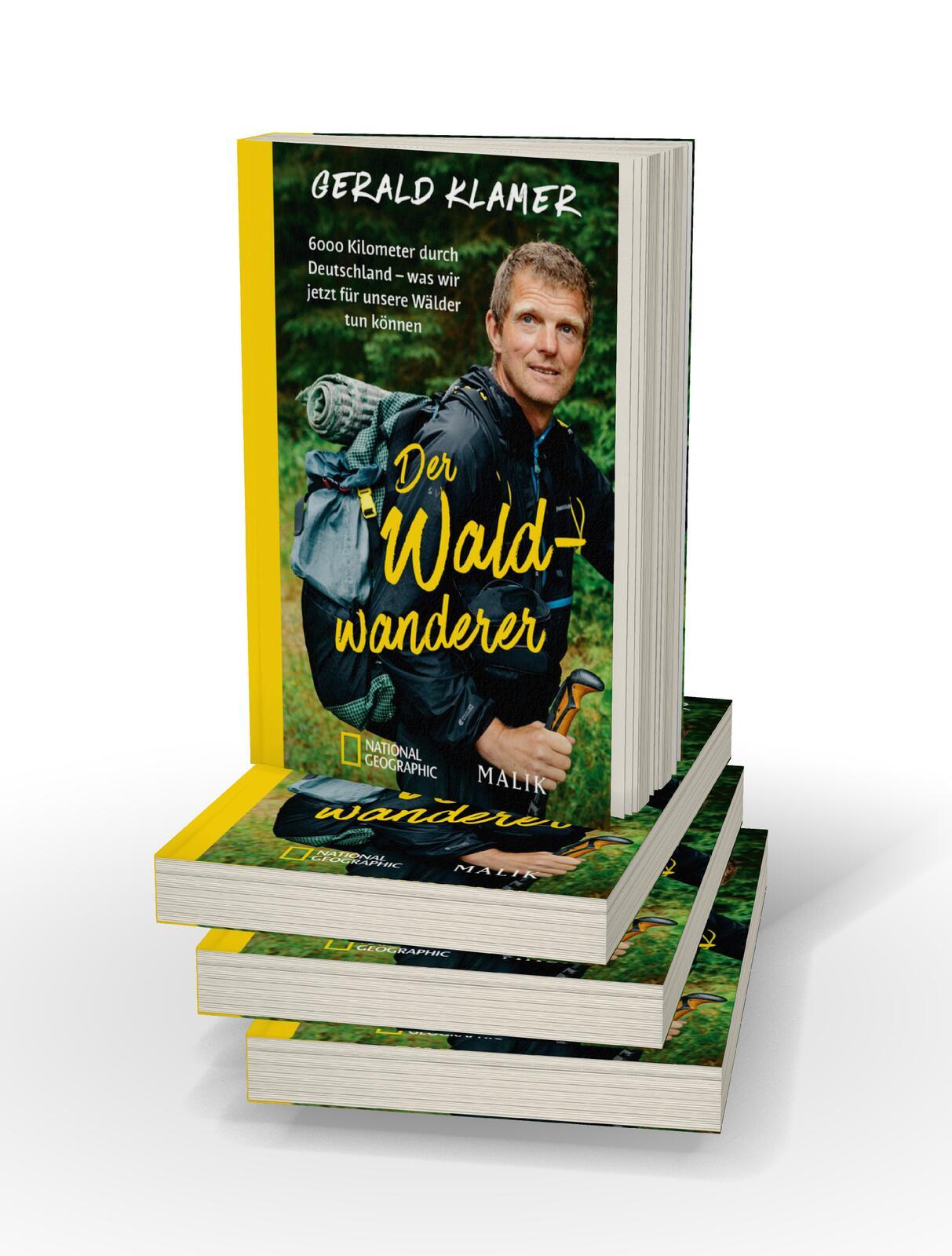Beispielinhalt (Bild) Der Waldwanderer