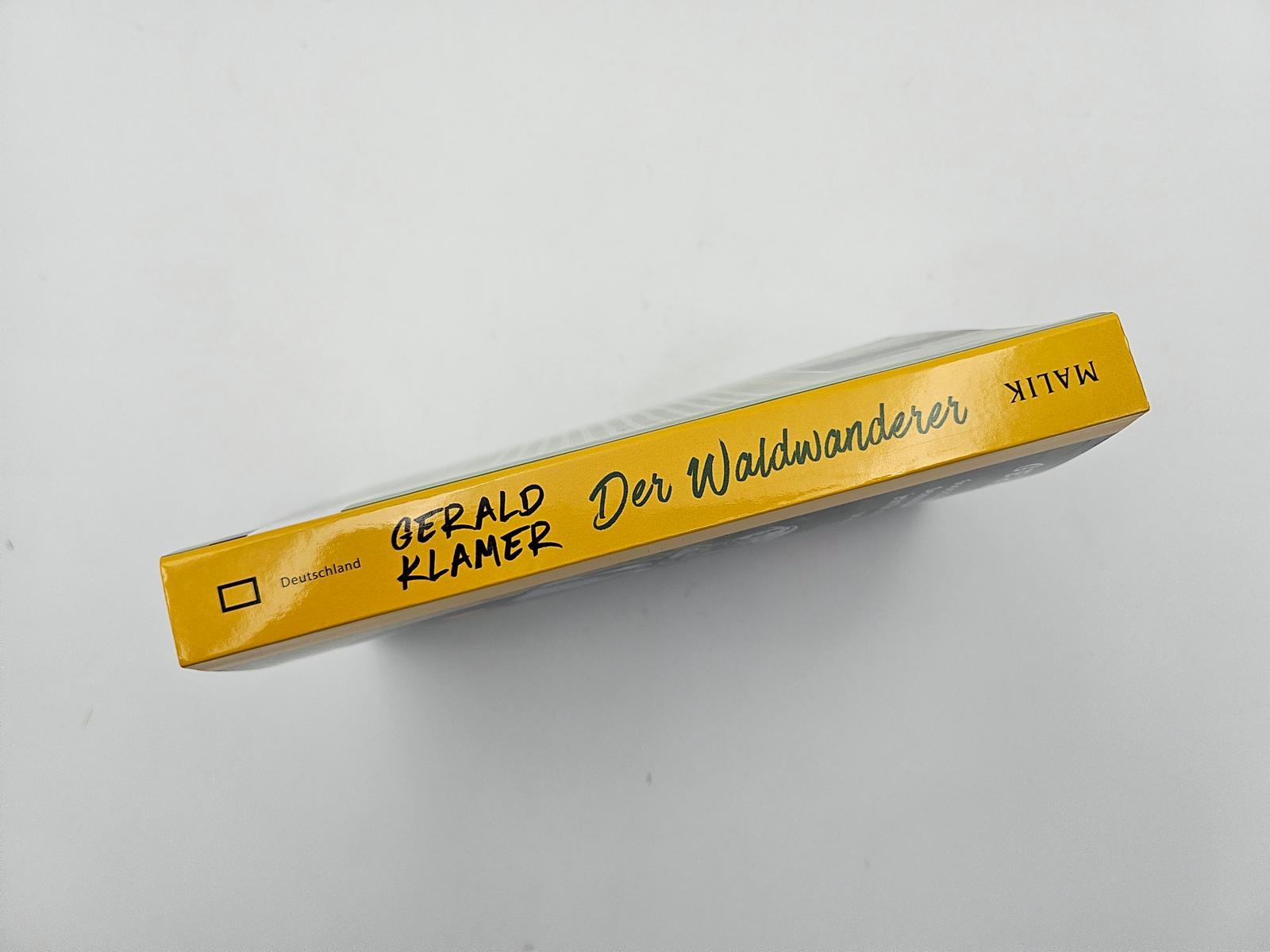 Beispielinhalt (Bild) Der Waldwanderer