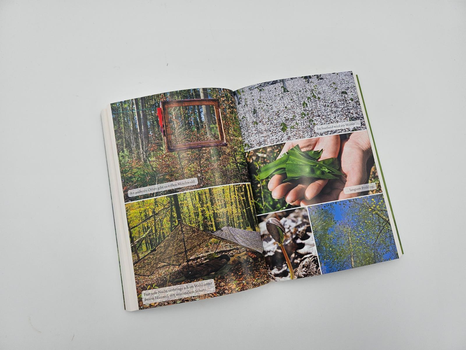 Beispielinhalt (Bild) Der Waldwanderer