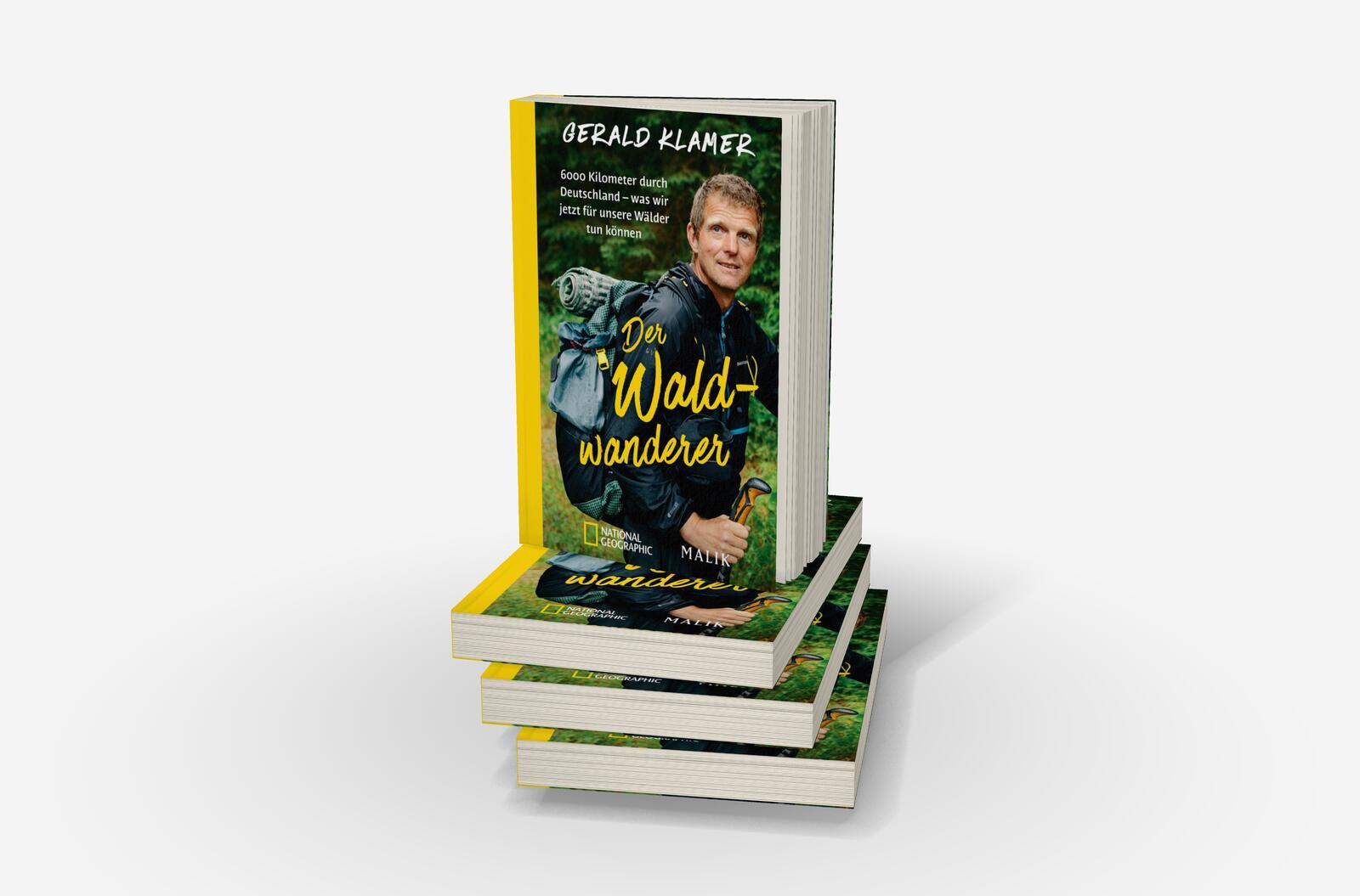 Beispielinhalt (Bild) Der Waldwanderer