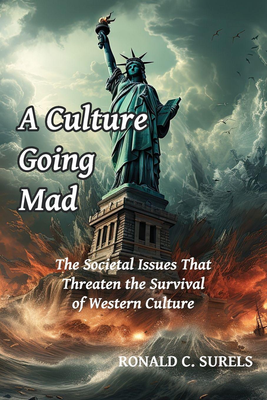 Vorderes Coverbild A Culture Going Mad