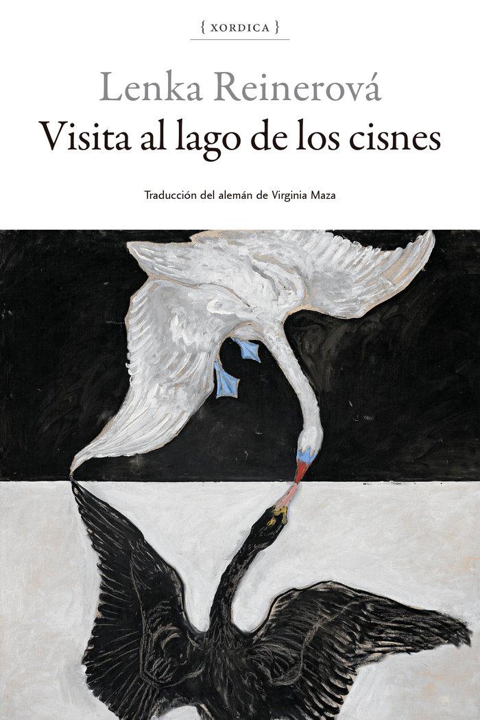 Vorderes Coverbild Visita al lago de los cisnes