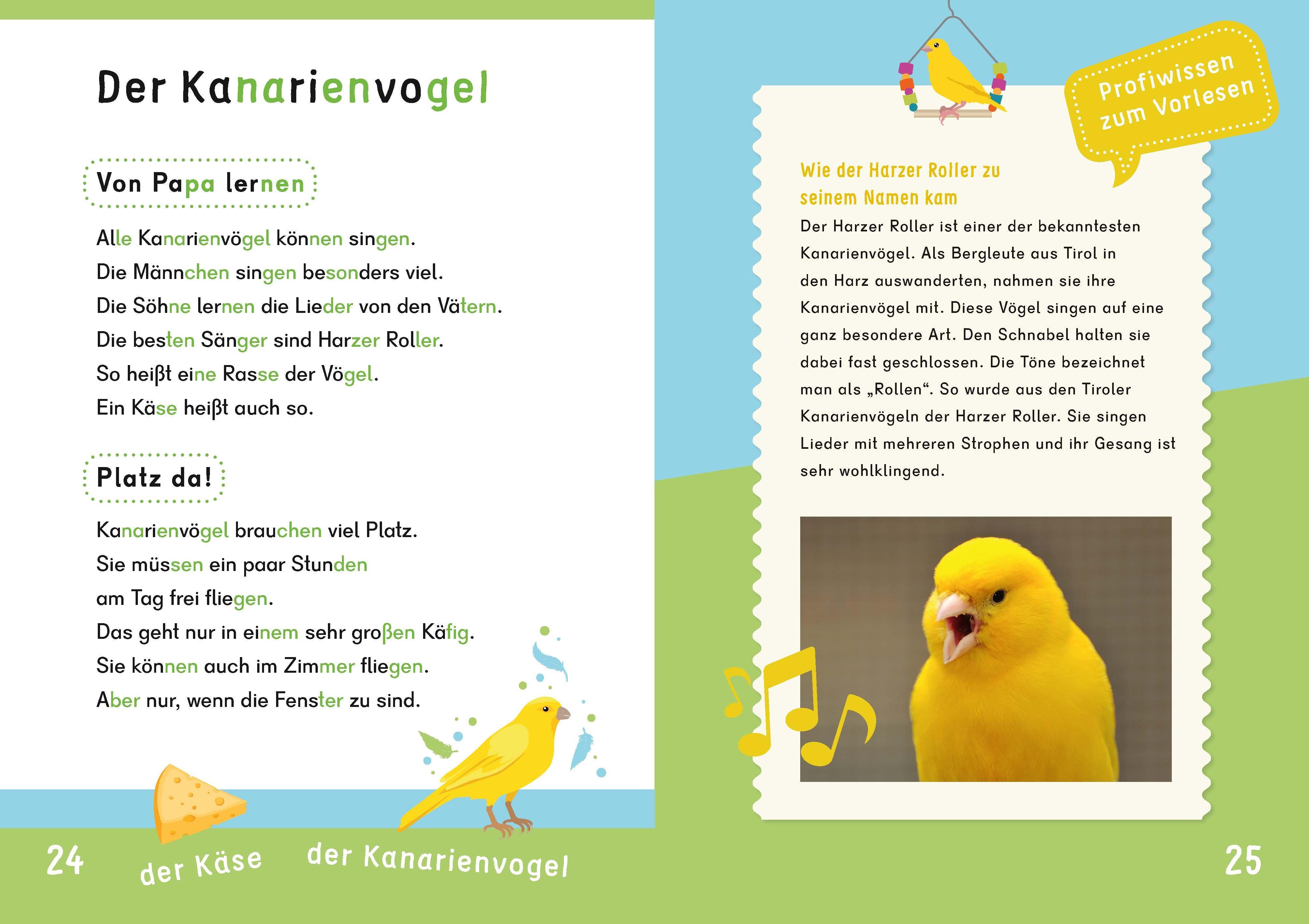 Beispielinhalt (Bild) Dein Lesestart: Weißt du schon alles über Haustiere? Ab 1. Klasse