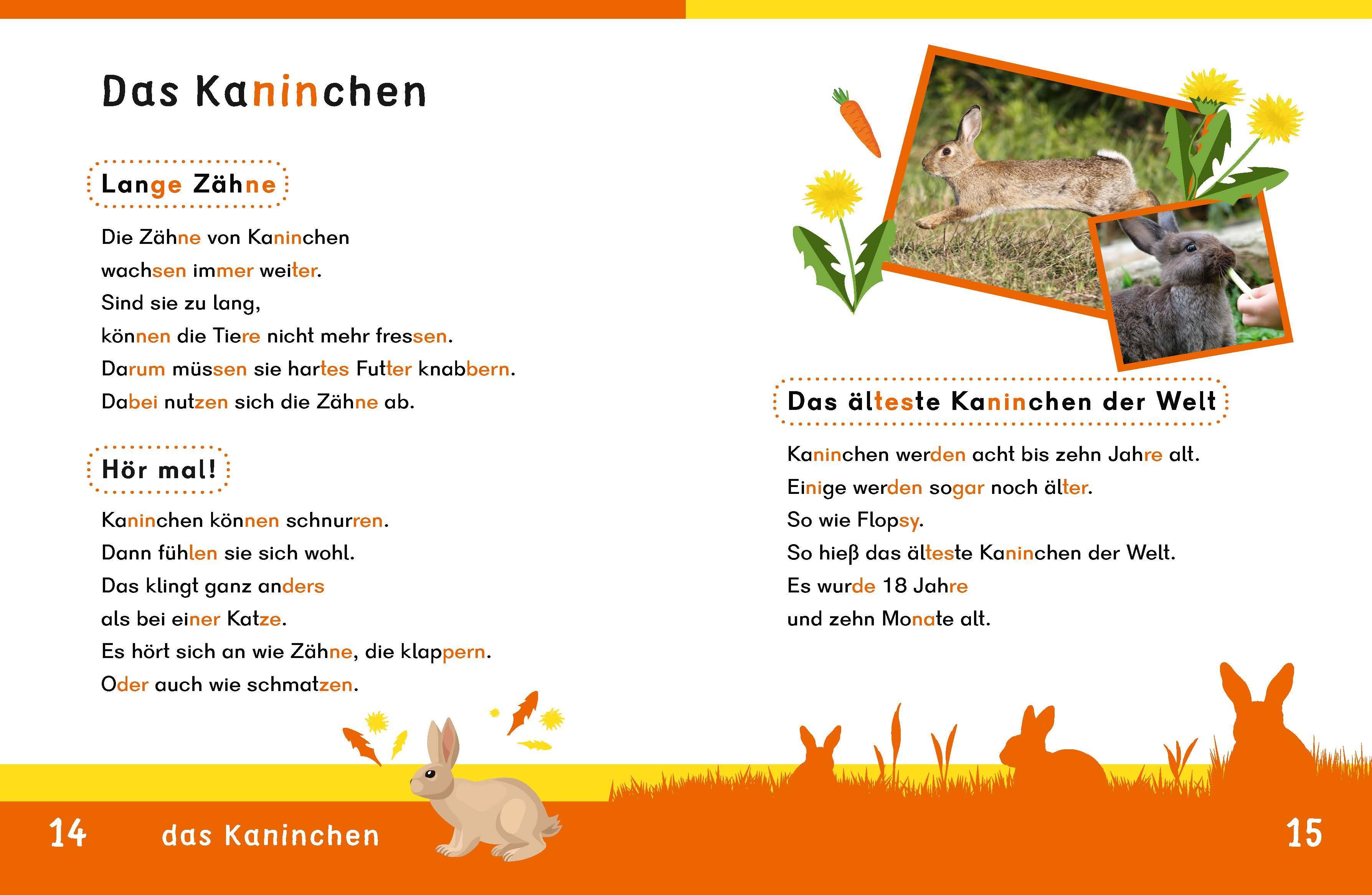 Beispielinhalt (Bild) Dein Lesestart: Weißt du schon alles über Haustiere? Ab 1. Klasse