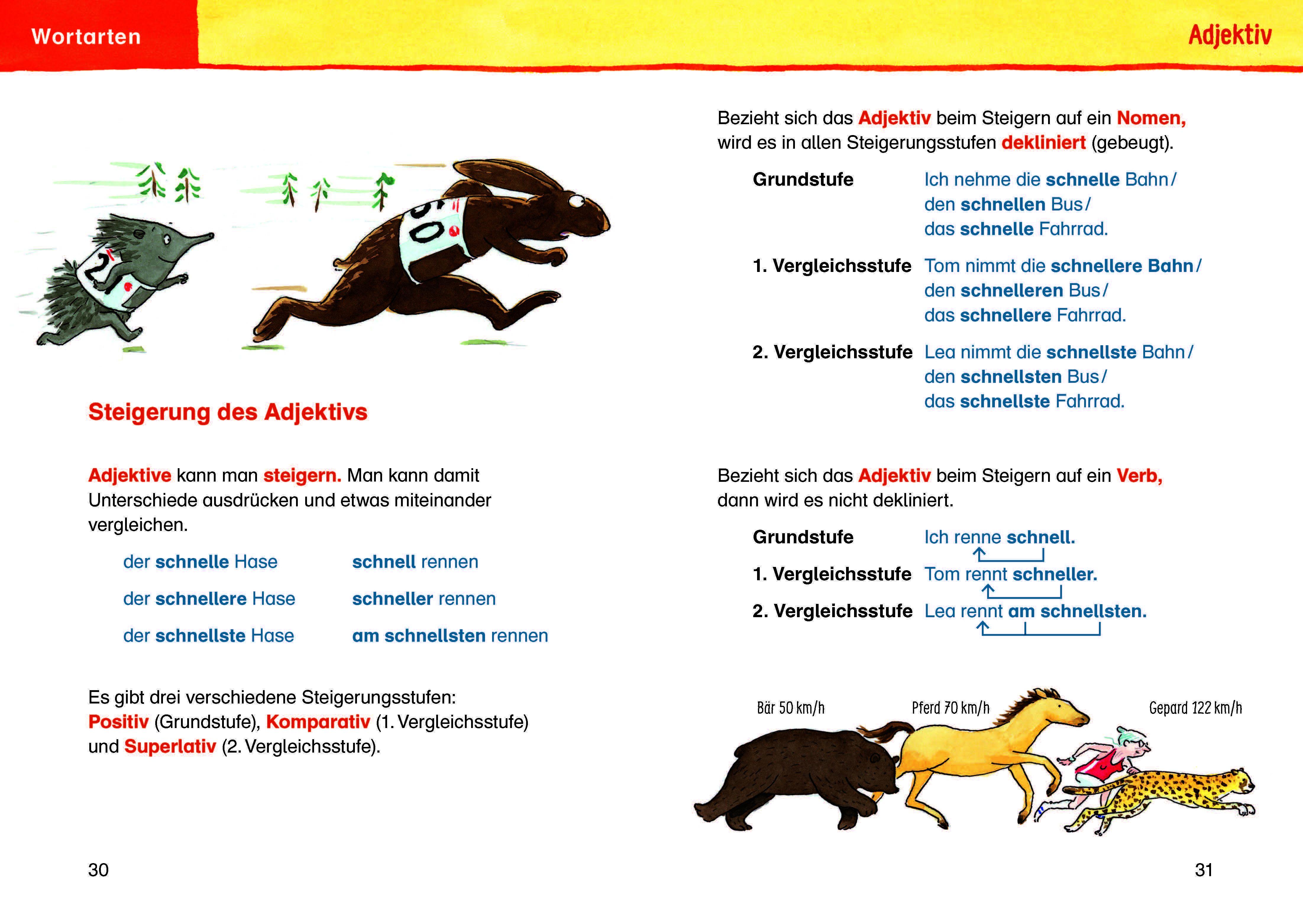 Beispielinhalt (Bild) Duden - Die Grundschulgrammatik