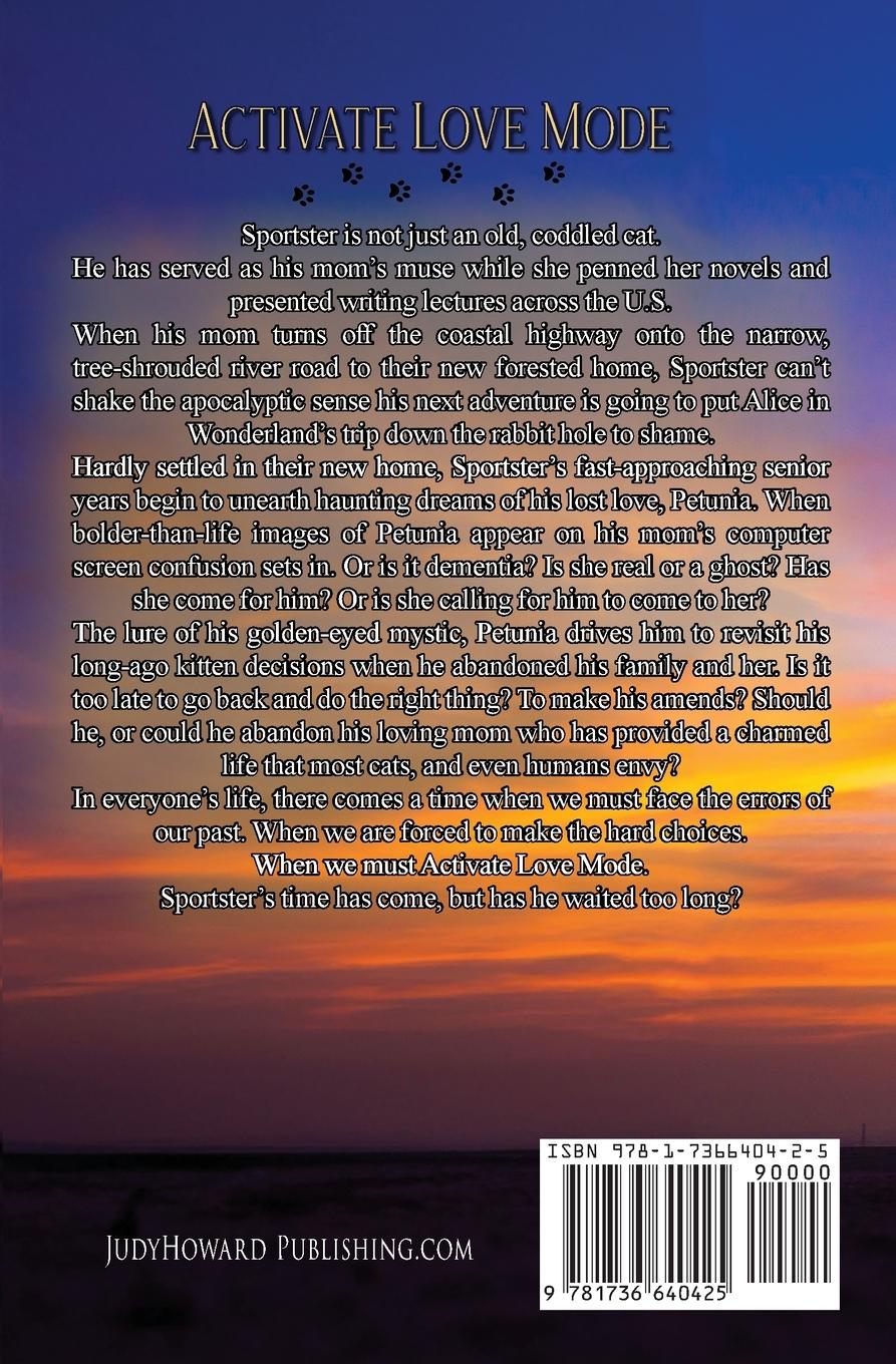 Rückseitencover Activate Love Mode