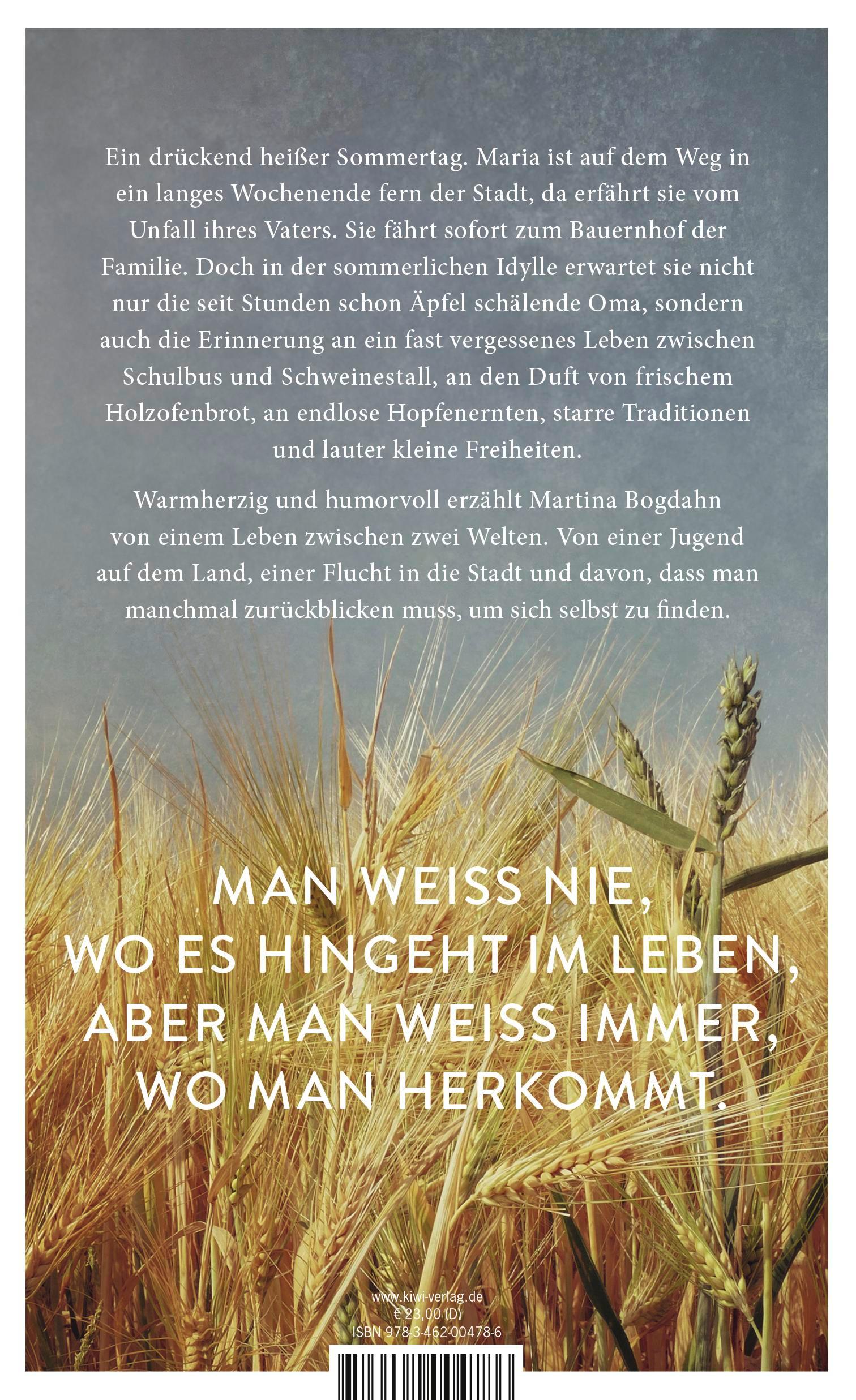 Rückseitencover Mühlensommer