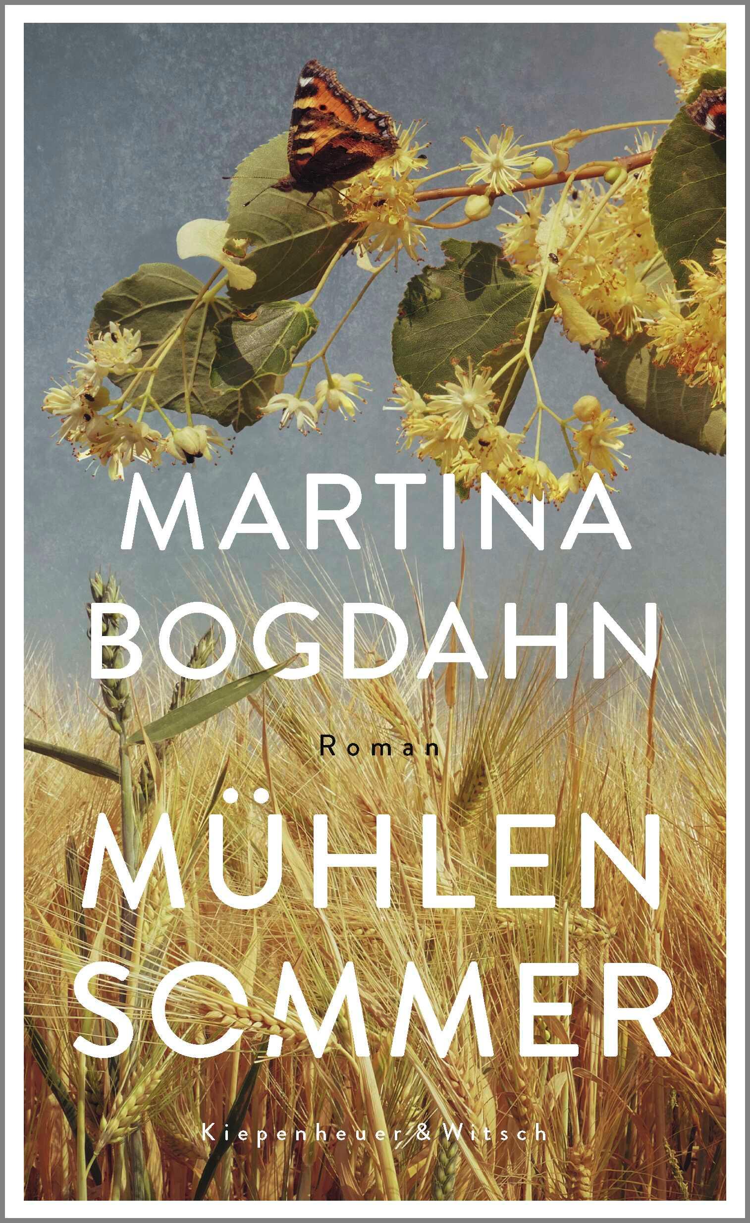 Vorderes Coverbild Mühlensommer