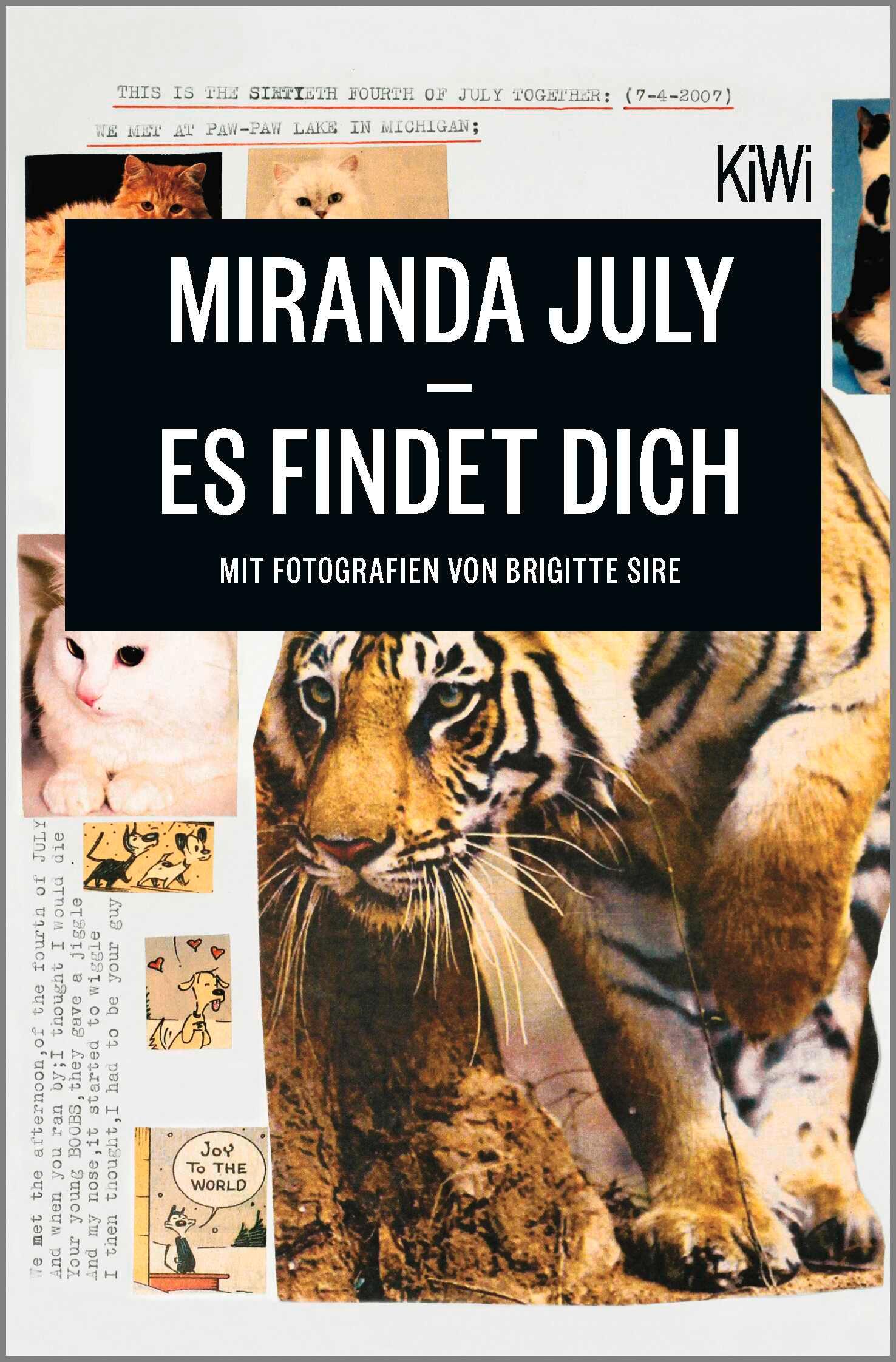 Vorderes Coverbild Es findet dich