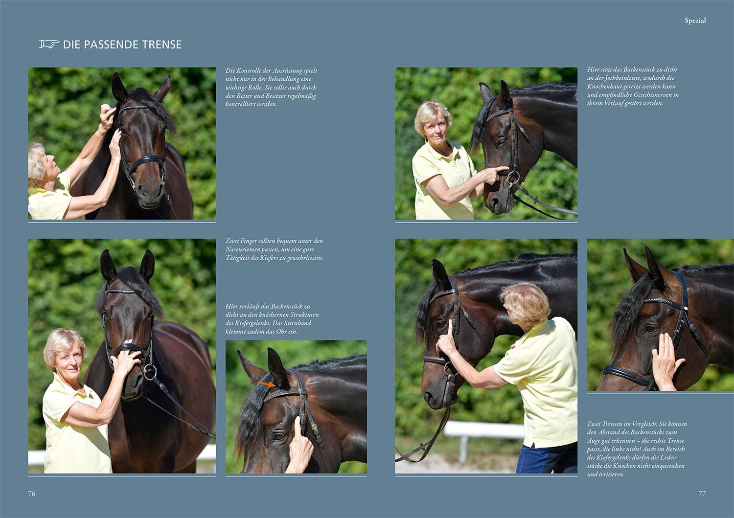 Beispielinhalt (Bild) Praxisbuch Physiogriffe für Pferde