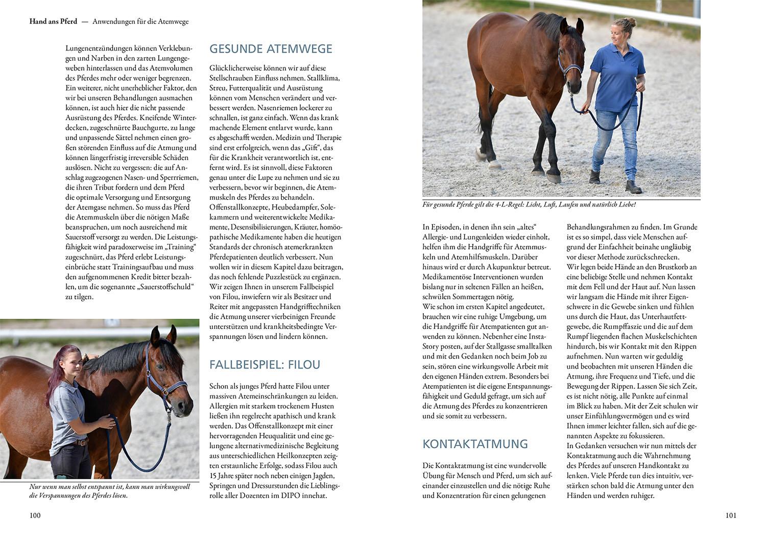 Beispielinhalt (Bild) Praxisbuch Physiogriffe für Pferde