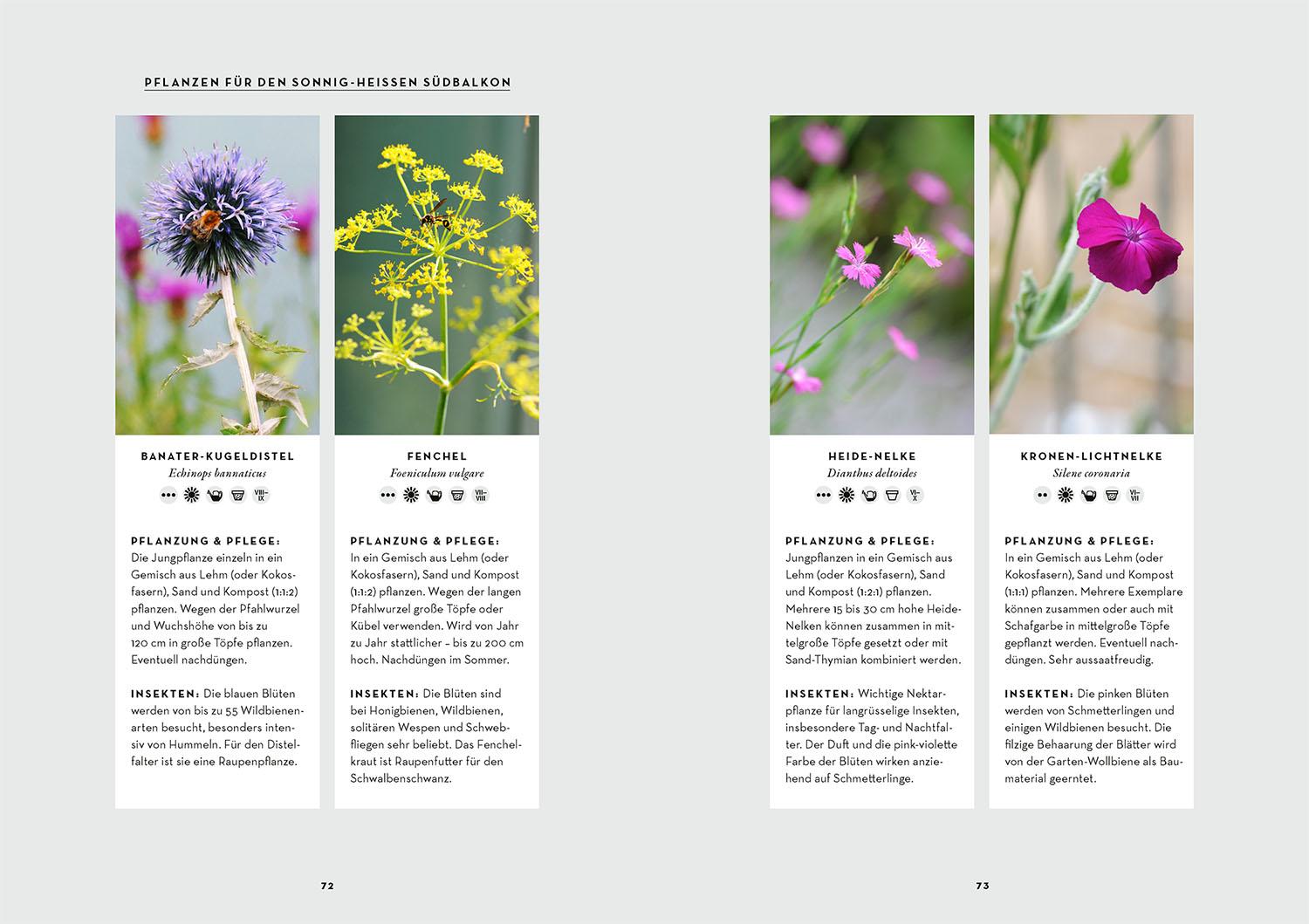 Beispielinhalt (Bild) Dein Balkon summt!