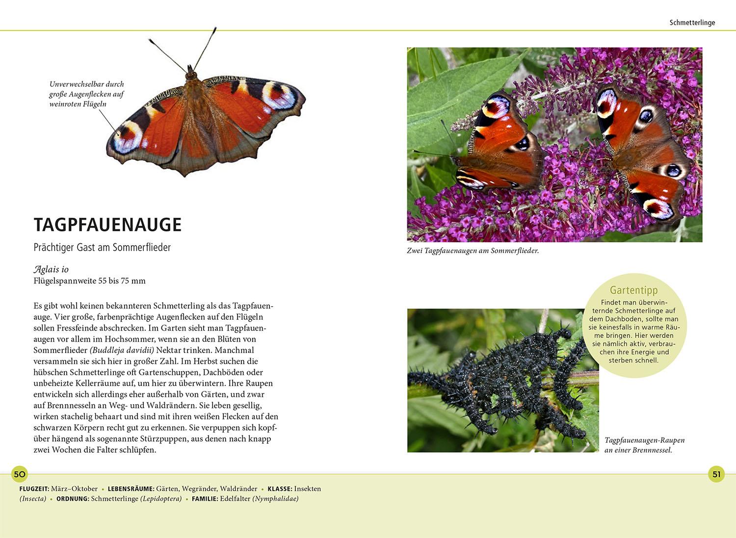 Beispielinhalt (Bild) Gartentiere lebensgroß