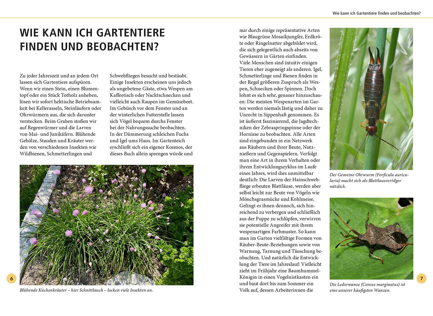 Beispielinhalt (Bild) Gartentiere lebensgroß
